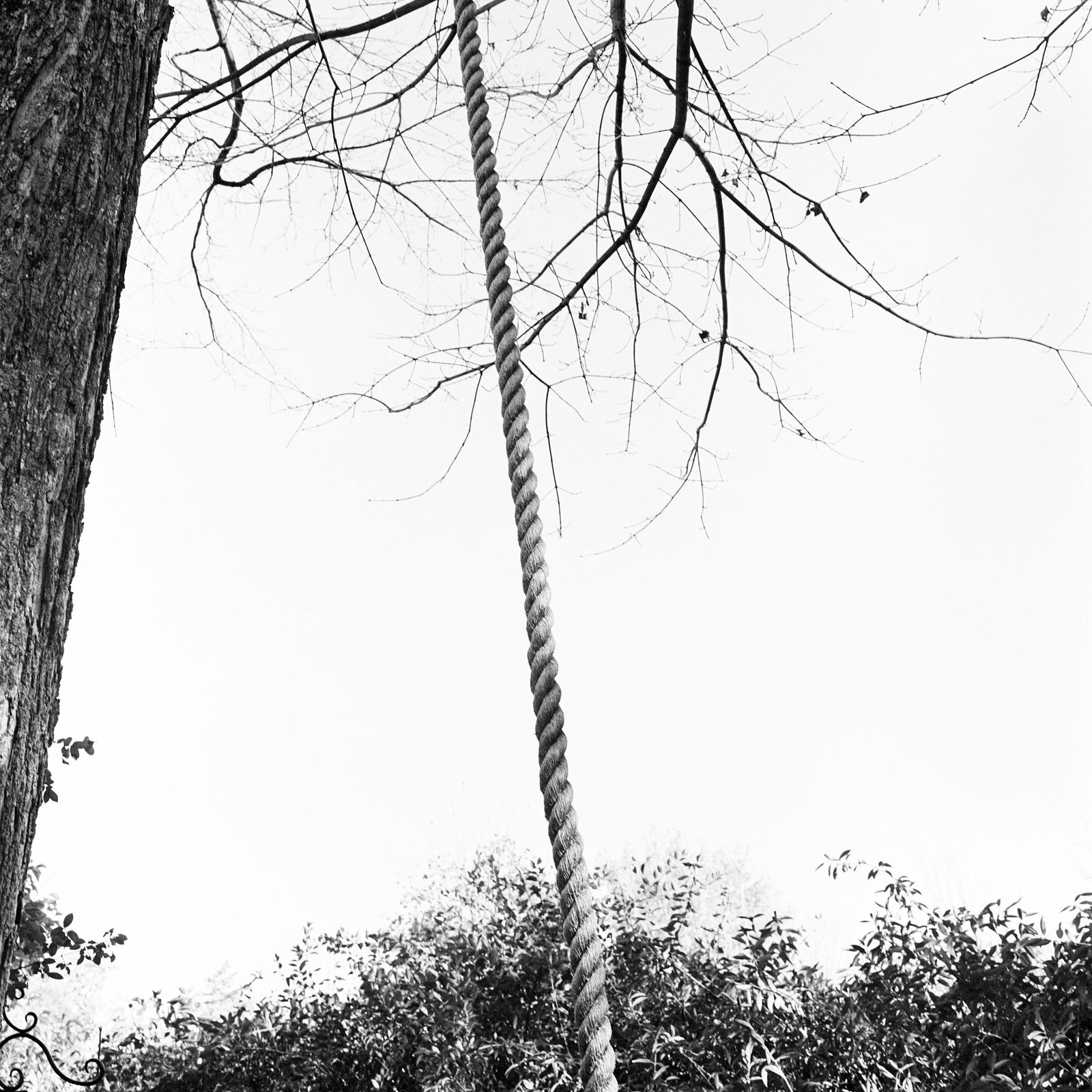 © Isabella Convertino - Holly Hill Rope Swing, 2018. Archival Pigment Print, 7.5in x 7.5in.