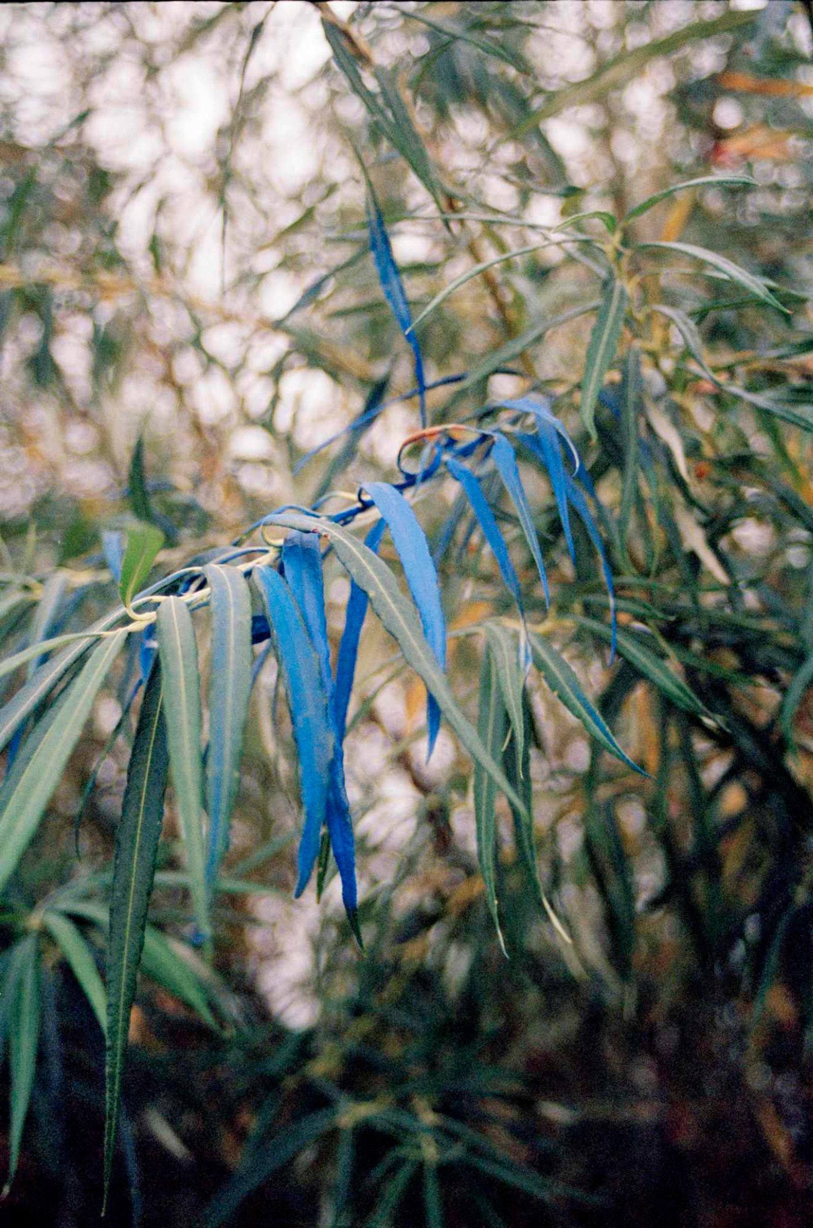 © Crystal Bennes - Image from the We Eat the Earth photography project