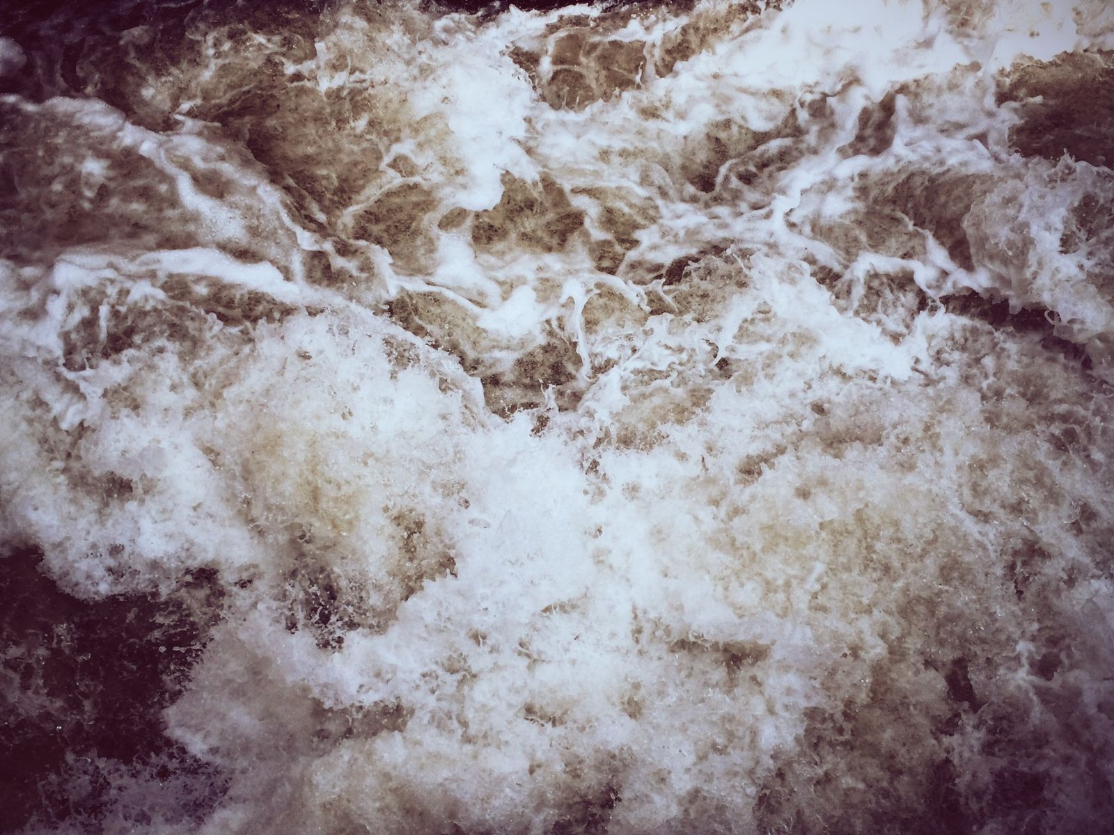 © Andrea Wise - "I do not wish women to have power over men; but over themselves."- Mary Shelley