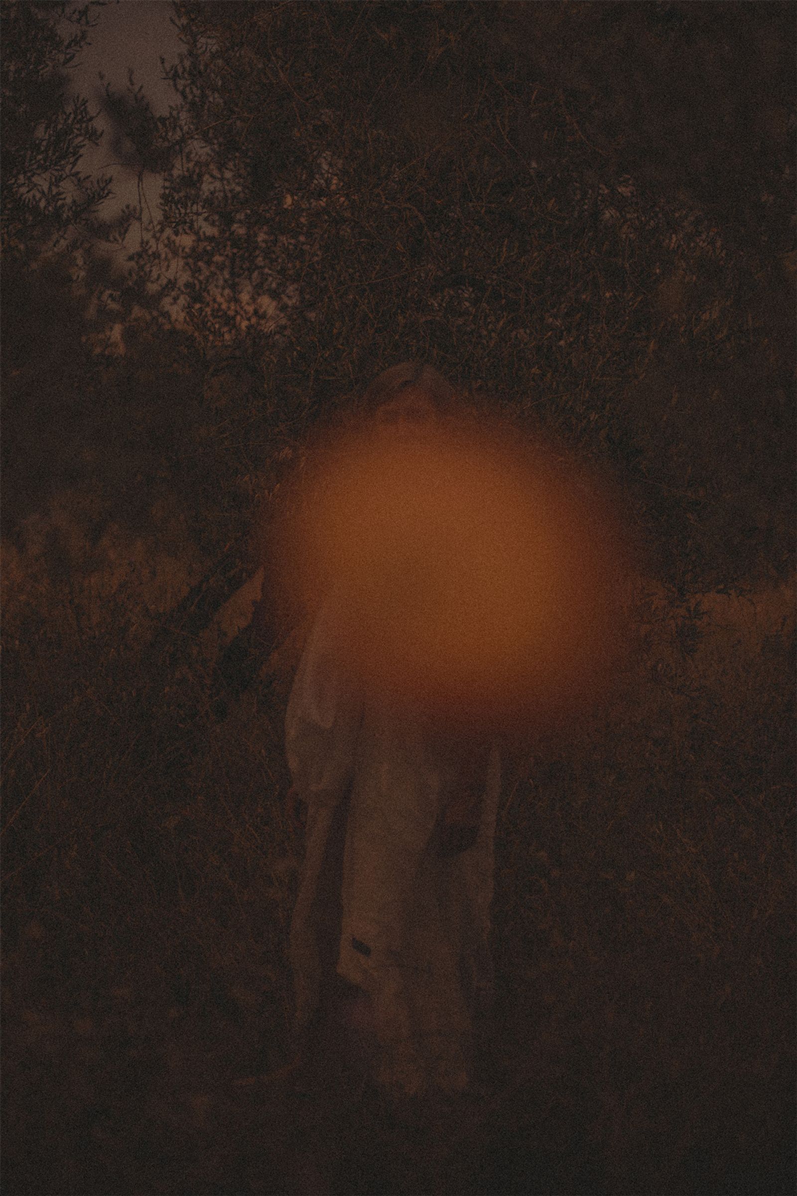 © Johanna Berghorn - Woman's first sin in Garden Eden / The first act of freedom II