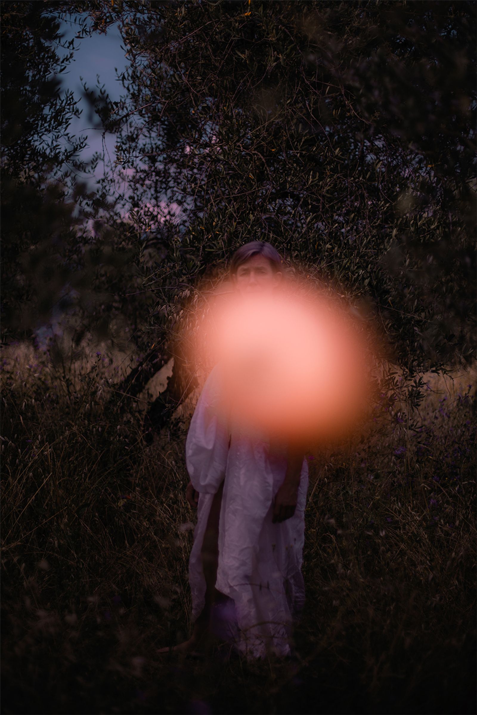 © Johanna Berghorn - The first sin - The Garden Of Eden