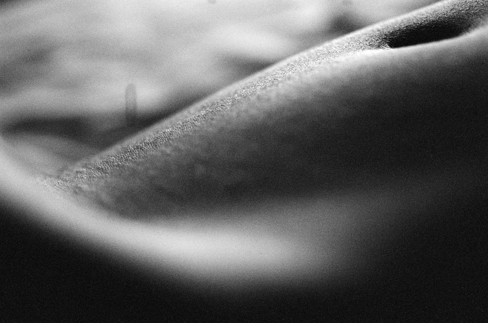 © Andrea Soverini - Image from the Landscapes photography project