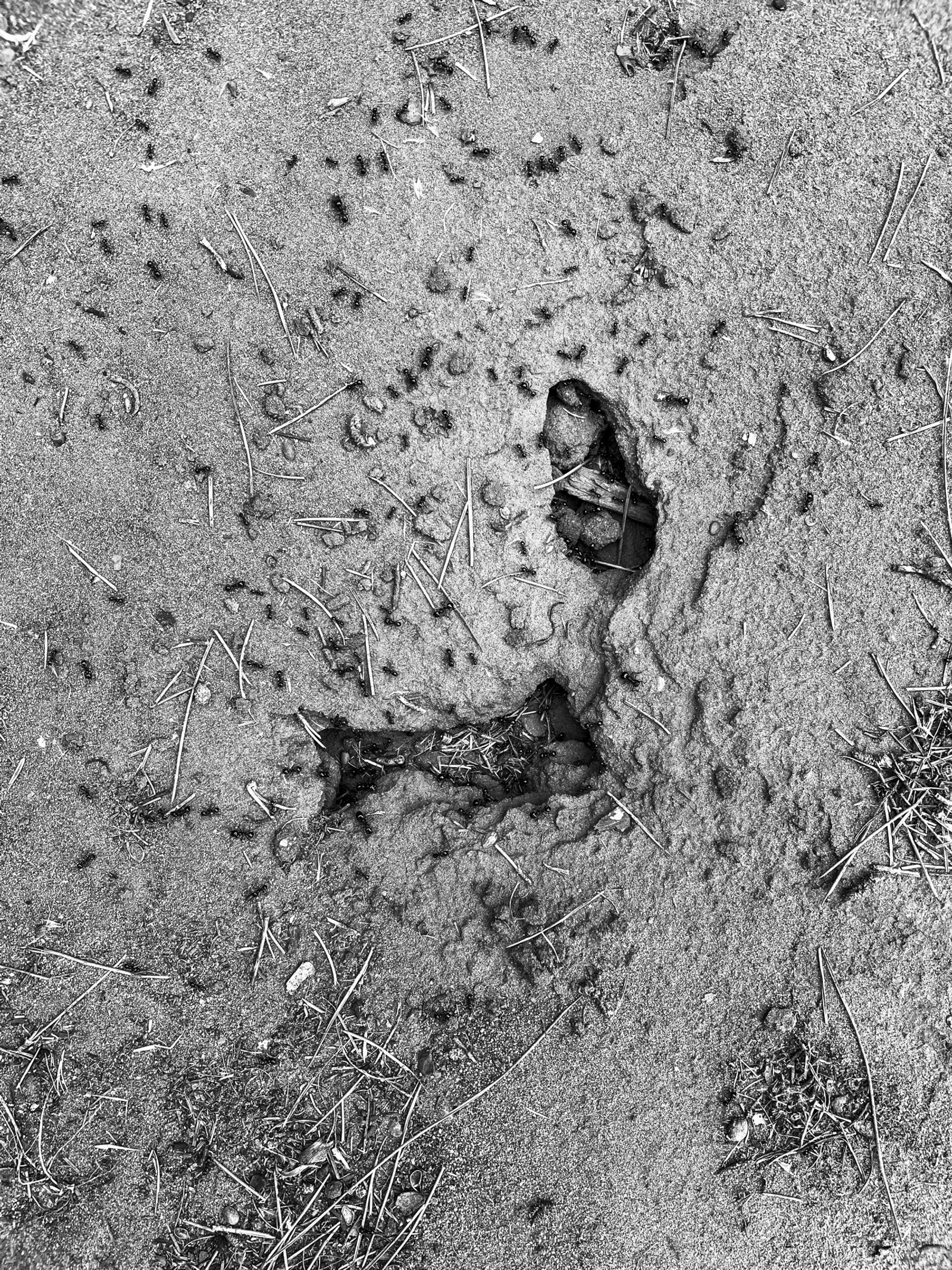 © Athanasia-Maria Dourou - Image from the What, I wonder, is the color of feeling? photography project