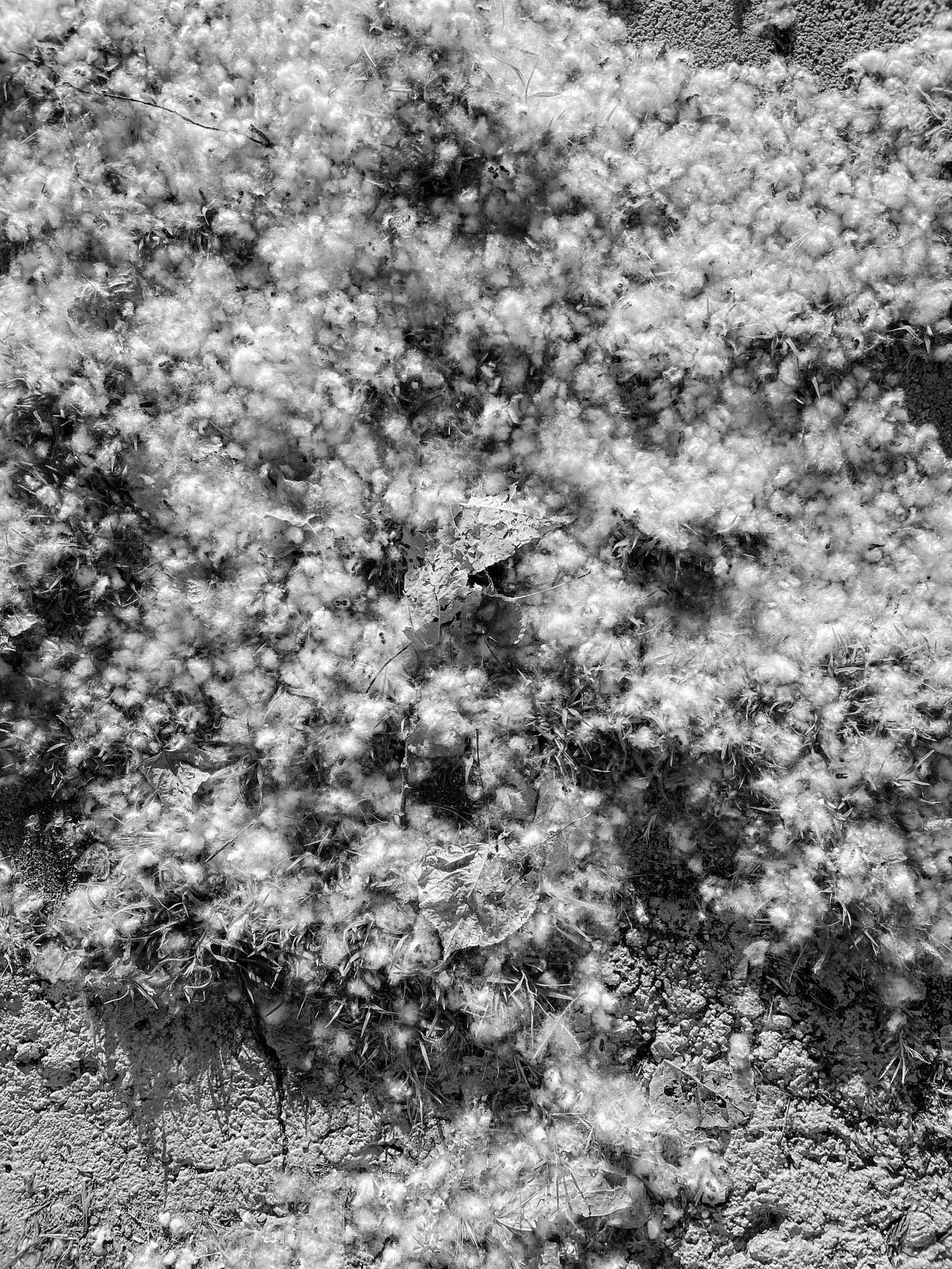 © Athanasia-Maria Dourou - Image from the Adrift photography project