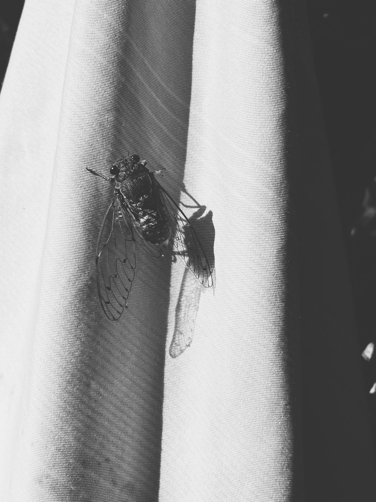 © Athanasia-Maria Dourou - Image from the Adrift photography project