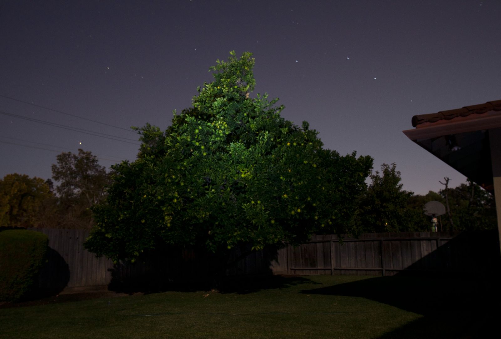 © Lynse Cooper - Spaceship, 2022