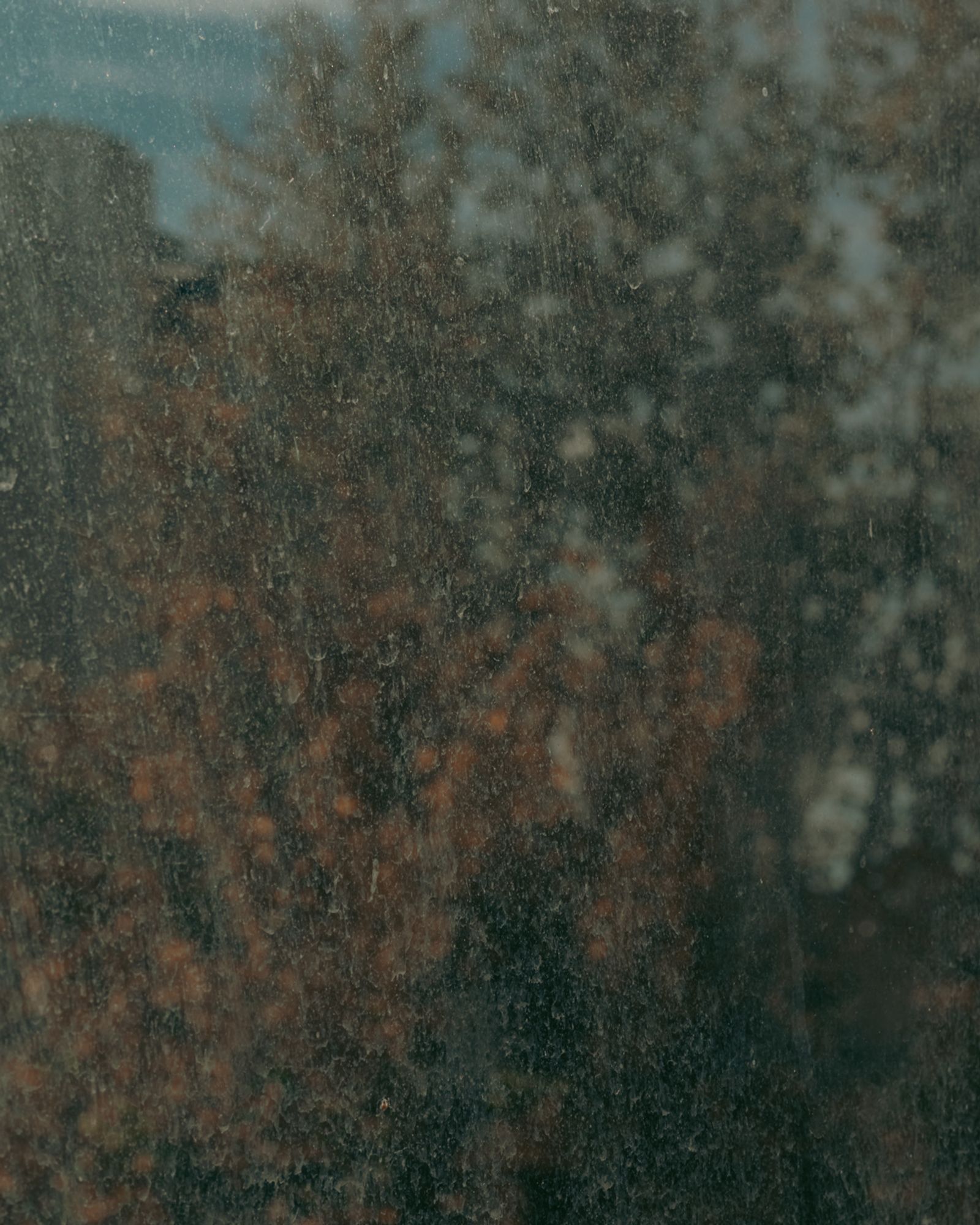 © Moa Linnea Matilda Nyberg - Image from the Four Weeks A Year photography project