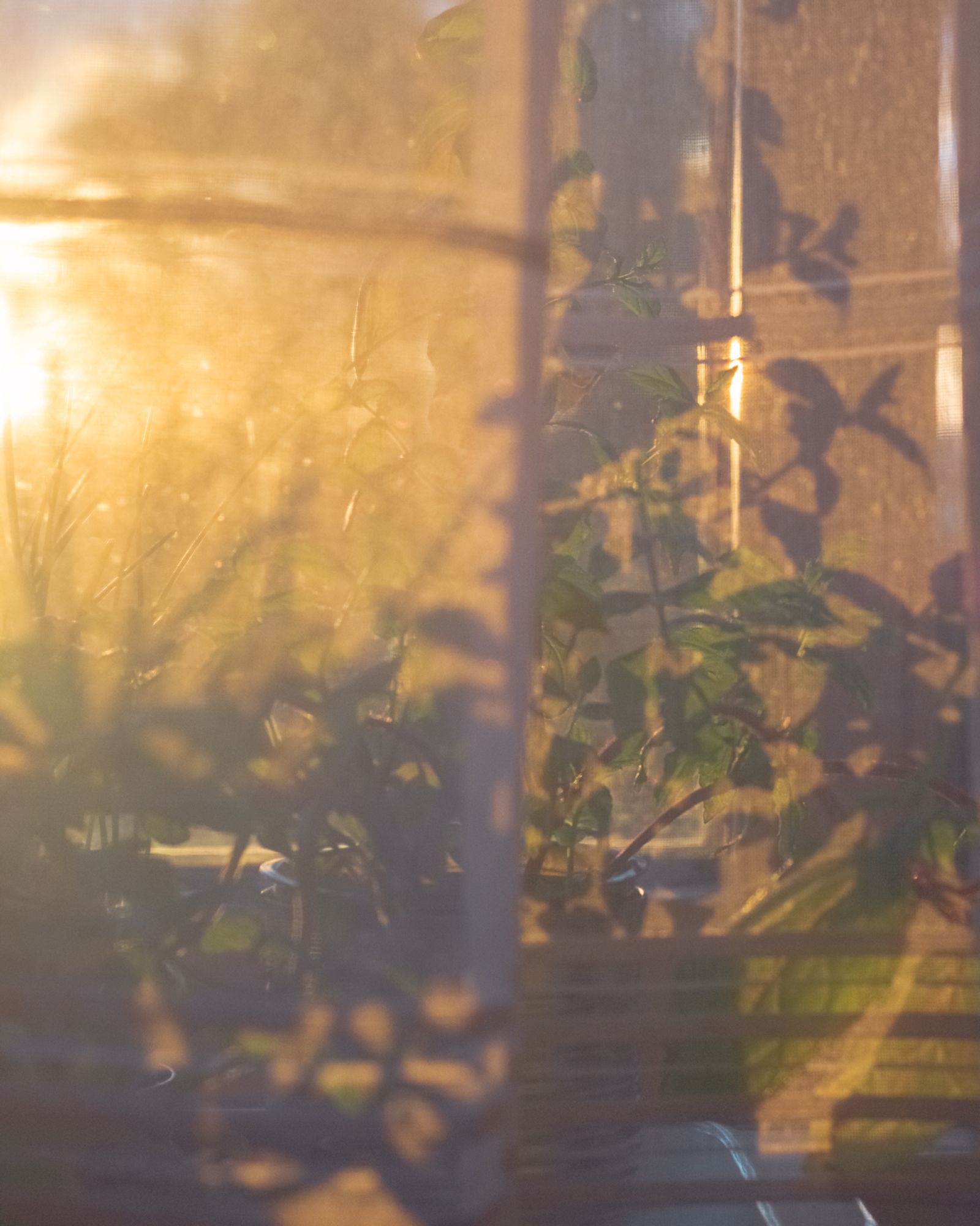© Moa Linnea Matilda Nyberg - Image from the Four Weeks A Year photography project