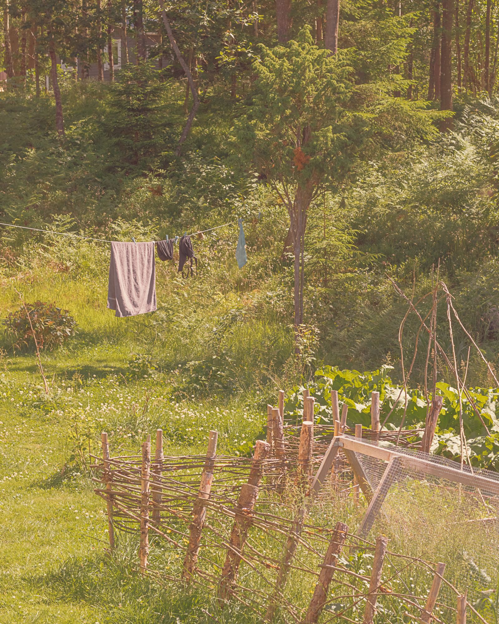 © Moa Linnea Matilda Nyberg - Image from the Four Weeks A Year photography project