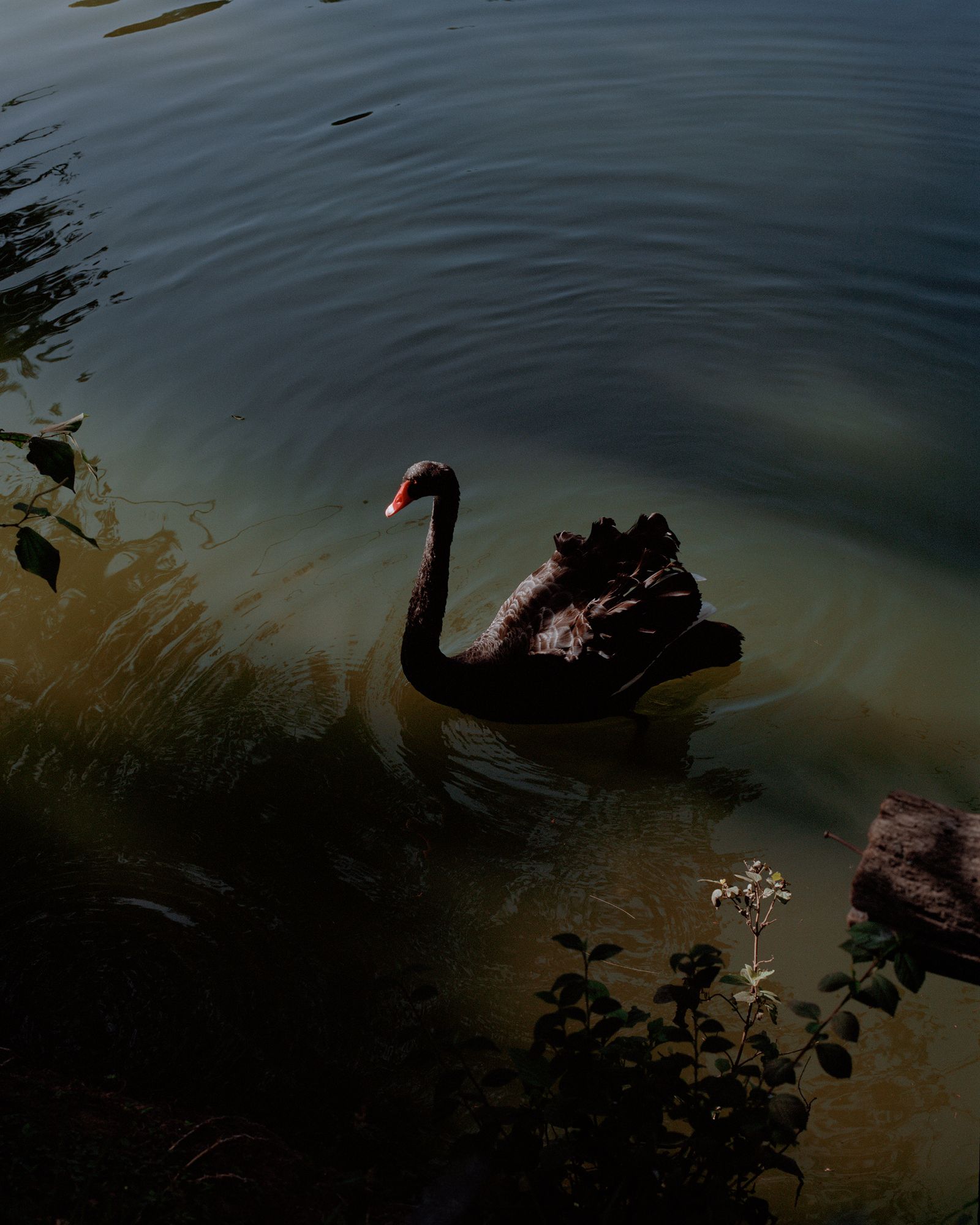 © Juan Brenner - Image from the TONATIUH photography project
