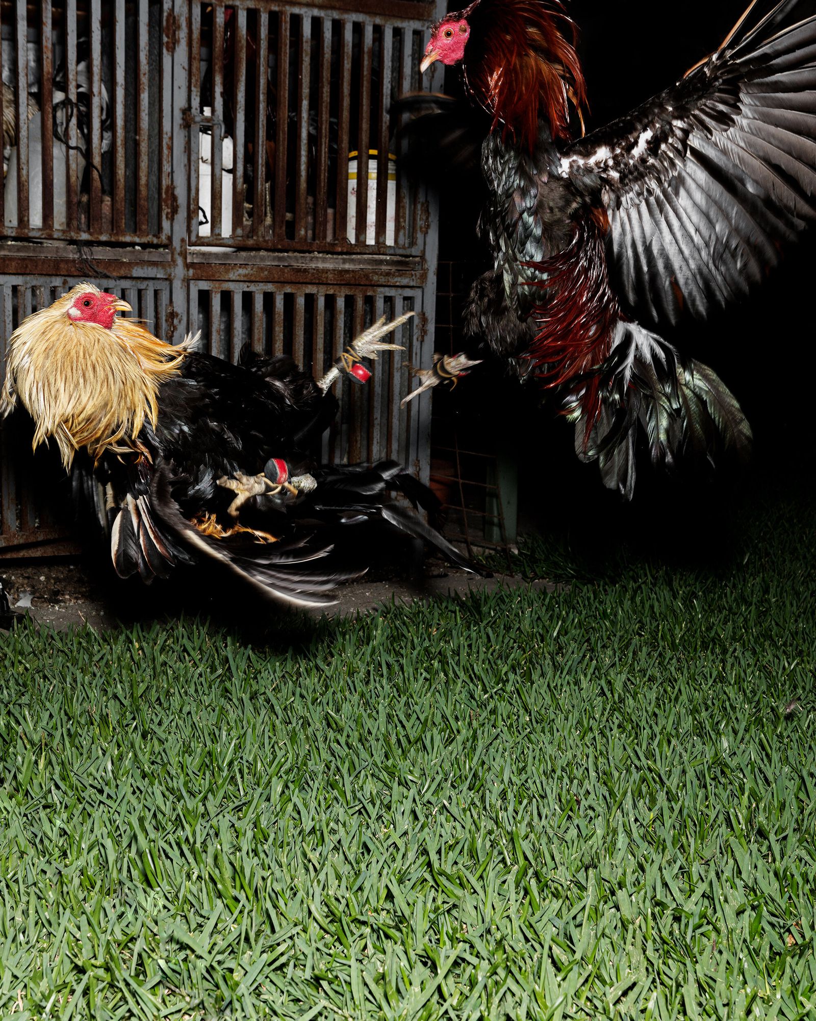 © Juan Brenner - Image from the INSIDIA photography project