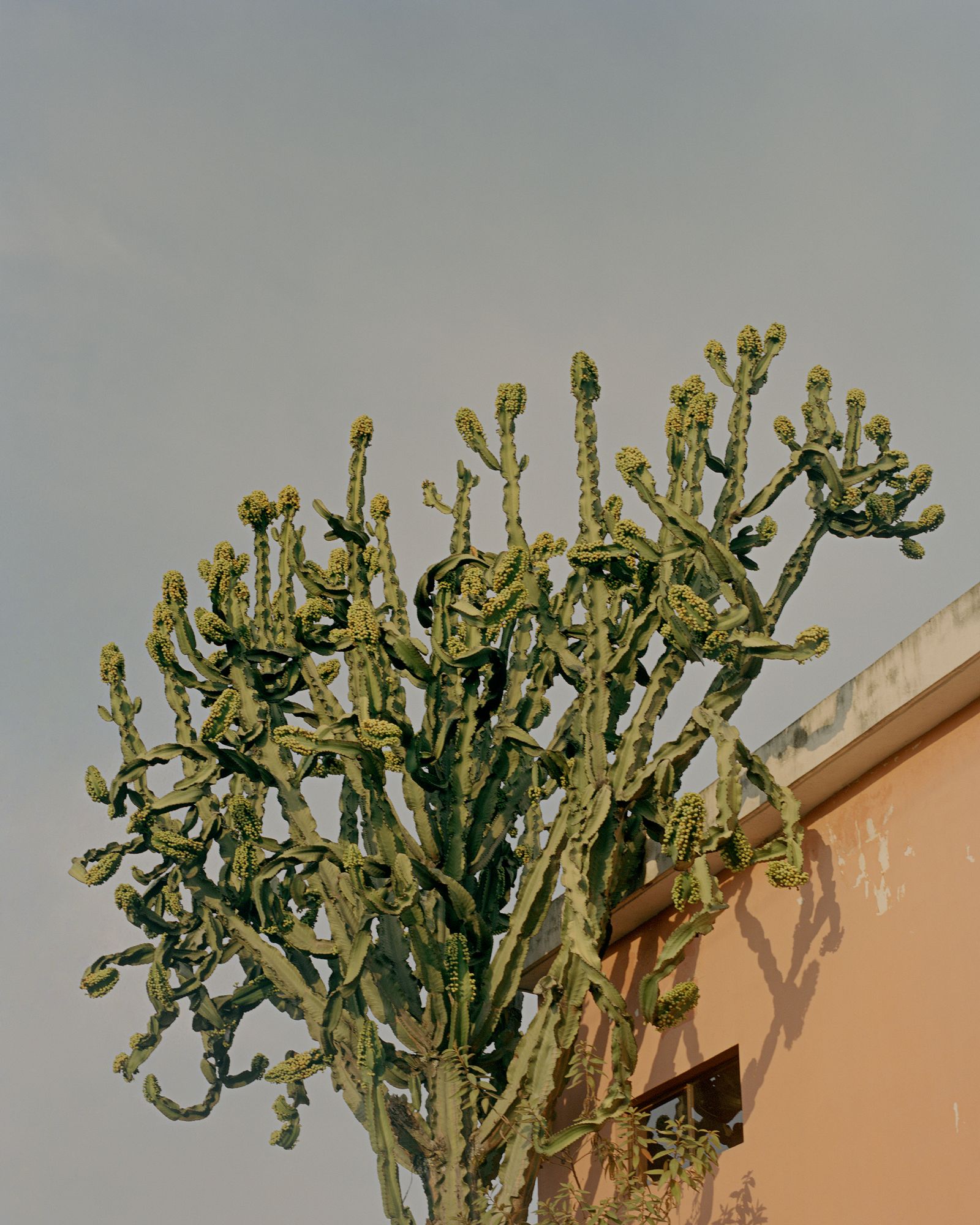 © Juan Brenner - Image from the The Ravine, the Virgin, & the Spring. photography project