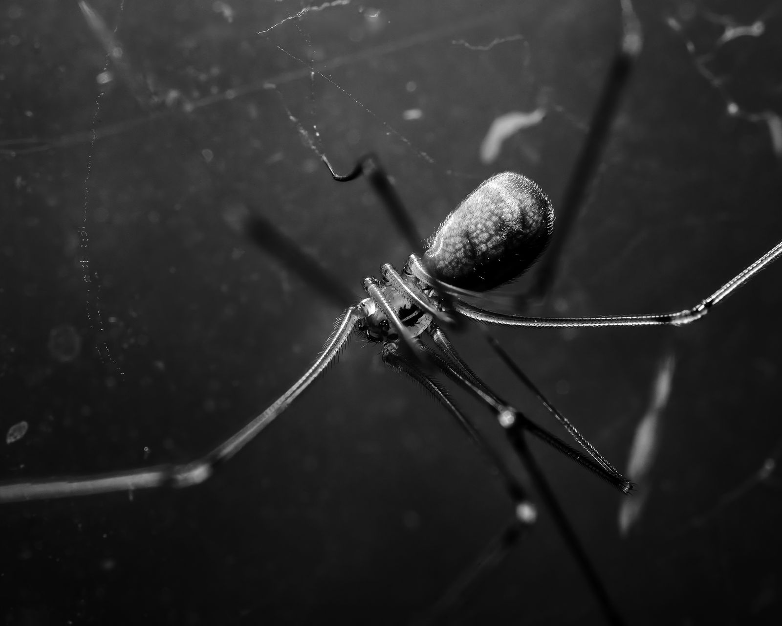 © Ben Dickey - Image from the Inheritance photography project