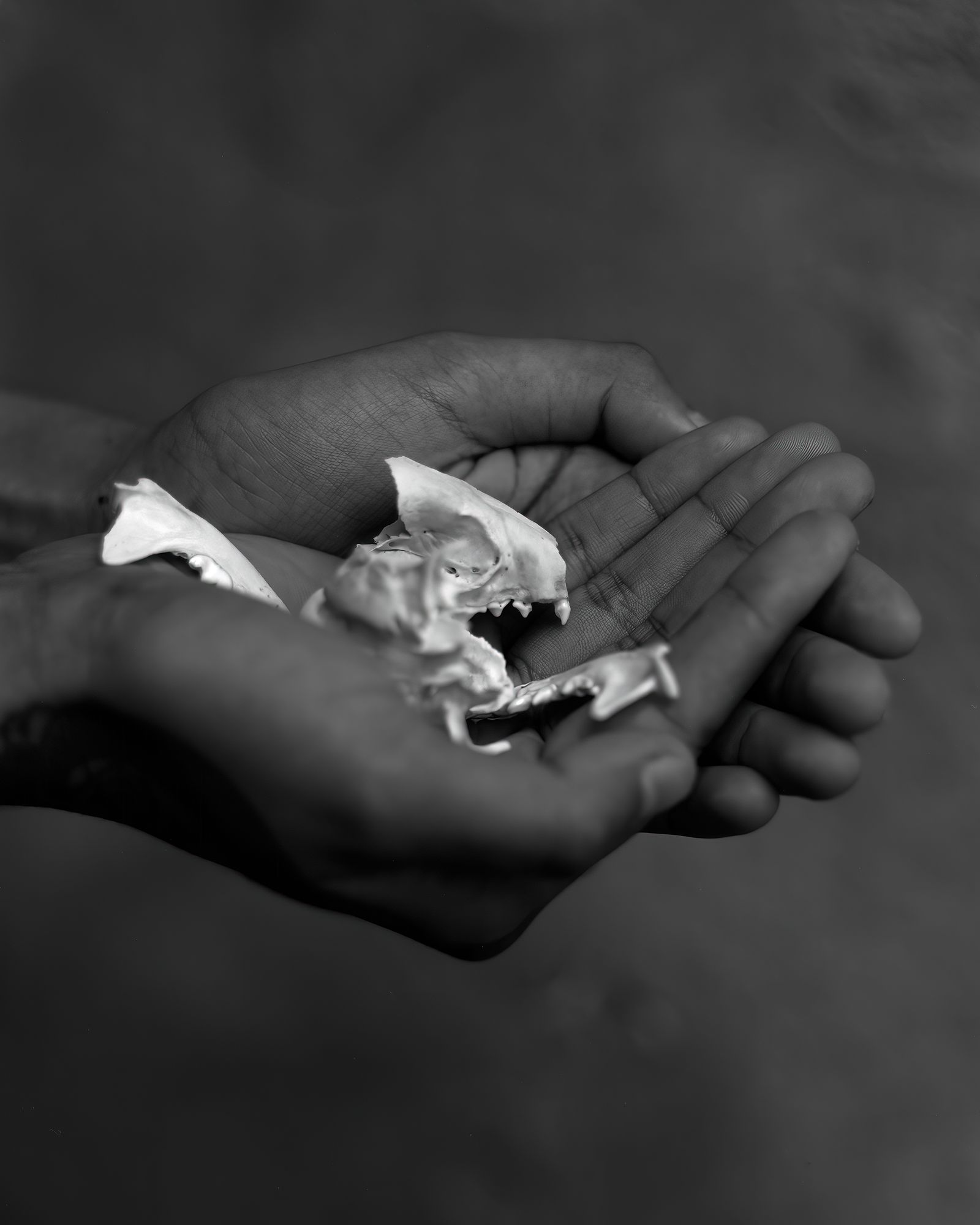 © Ben Dickey - Image from the The Voice That Does Not Ring photography project