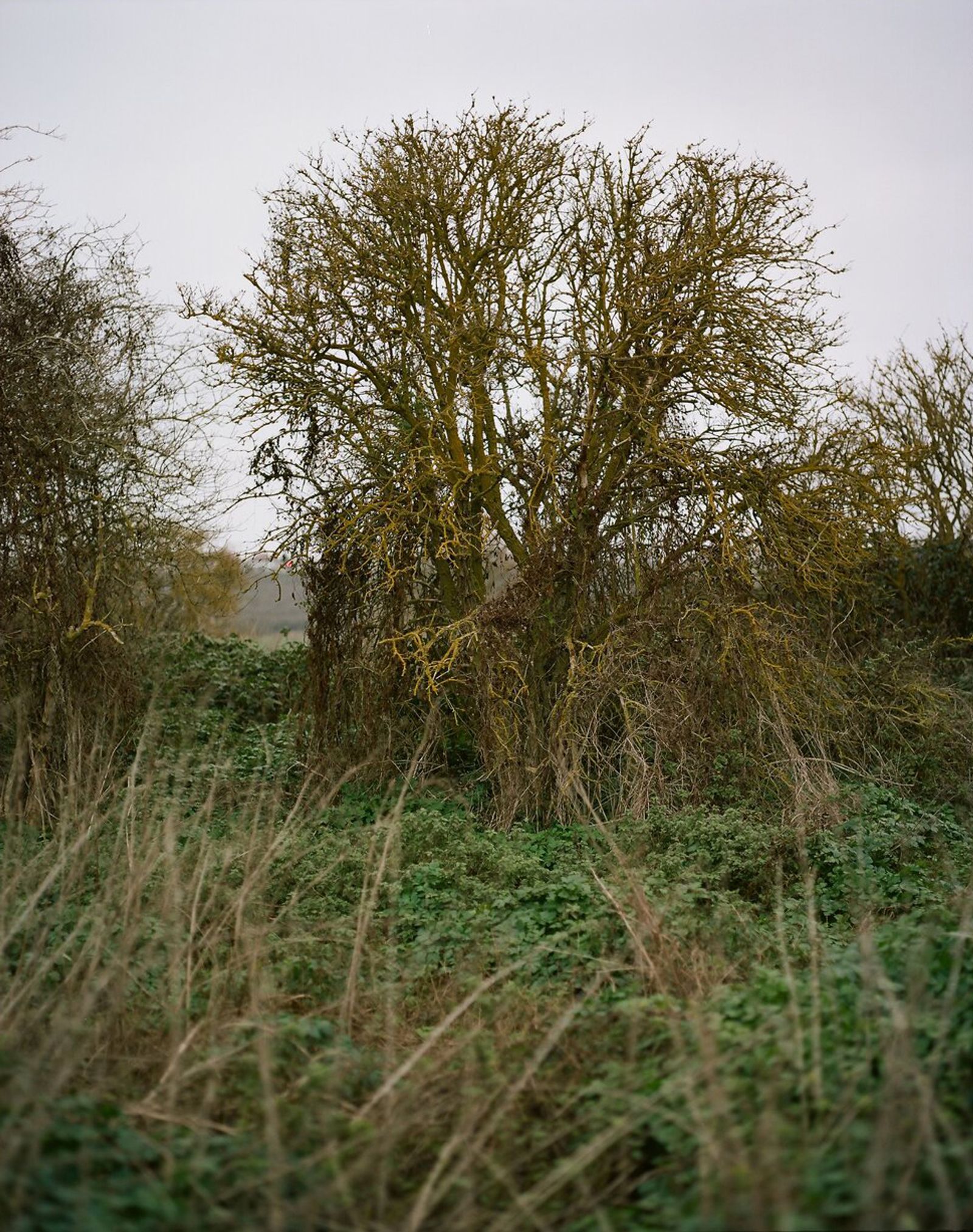 © Giulia Savorelli - Image from the Estuary English photography project