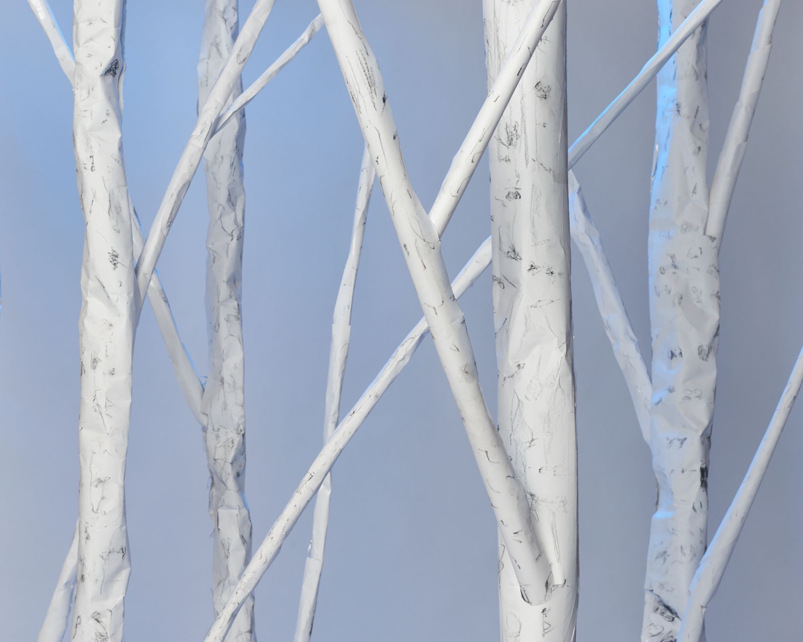 © Alexey Shlyk - It is one of my early memories - winter birch trees. Back in the days winters were much colder.