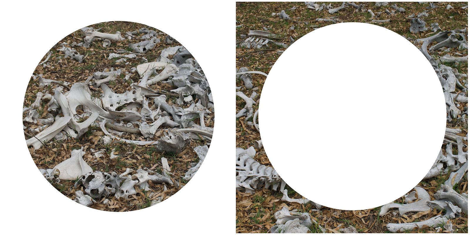 © Tatiana Parcero - © Tatiana Parcero, Universus #8 & #9, 2013-14