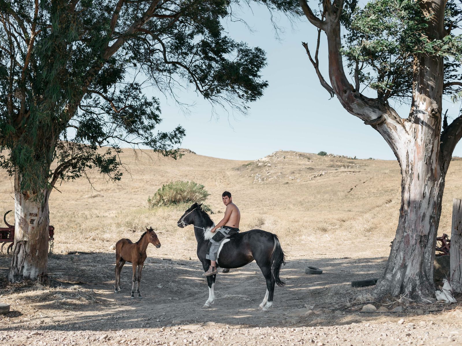 © roselena ramistella - Boy on horseback