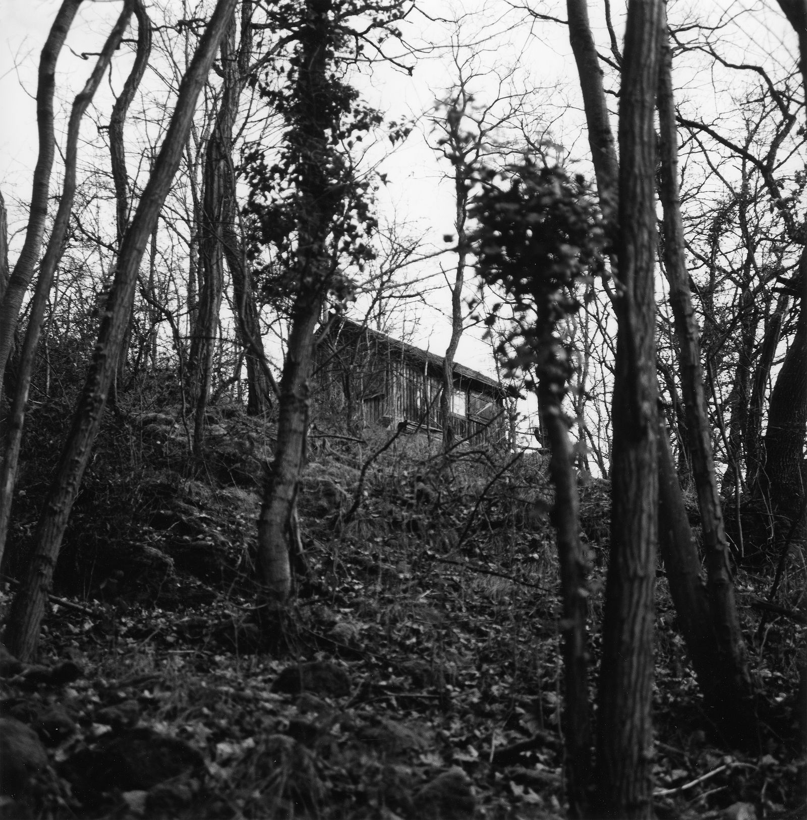 © Martin Hassid - Image from the Our land is everything to us photography project