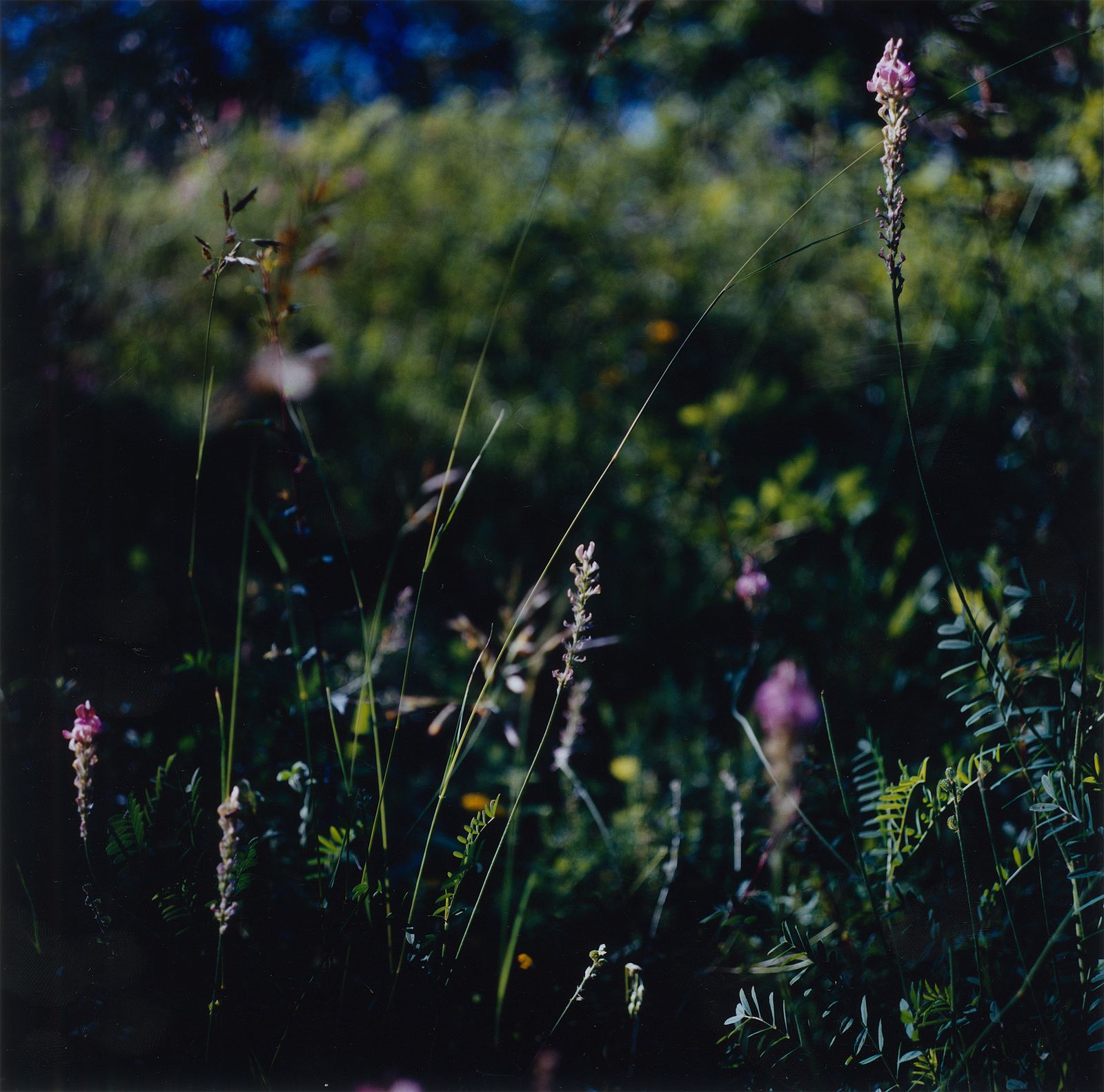 © Martin Hassid - Image from the Our land is everything to us photography project