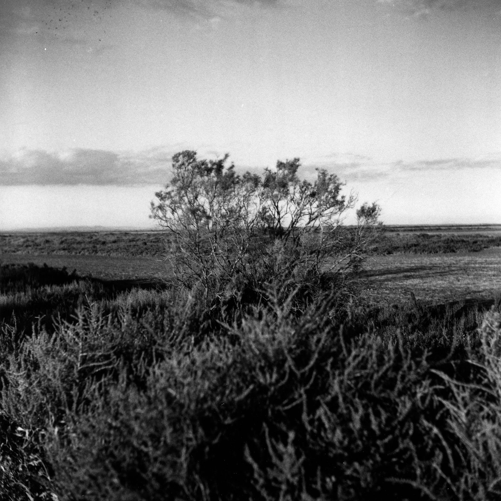 © Martin Hassid - Image from the Seriez-vous des sages revenus d'une vie antérieure? photography project