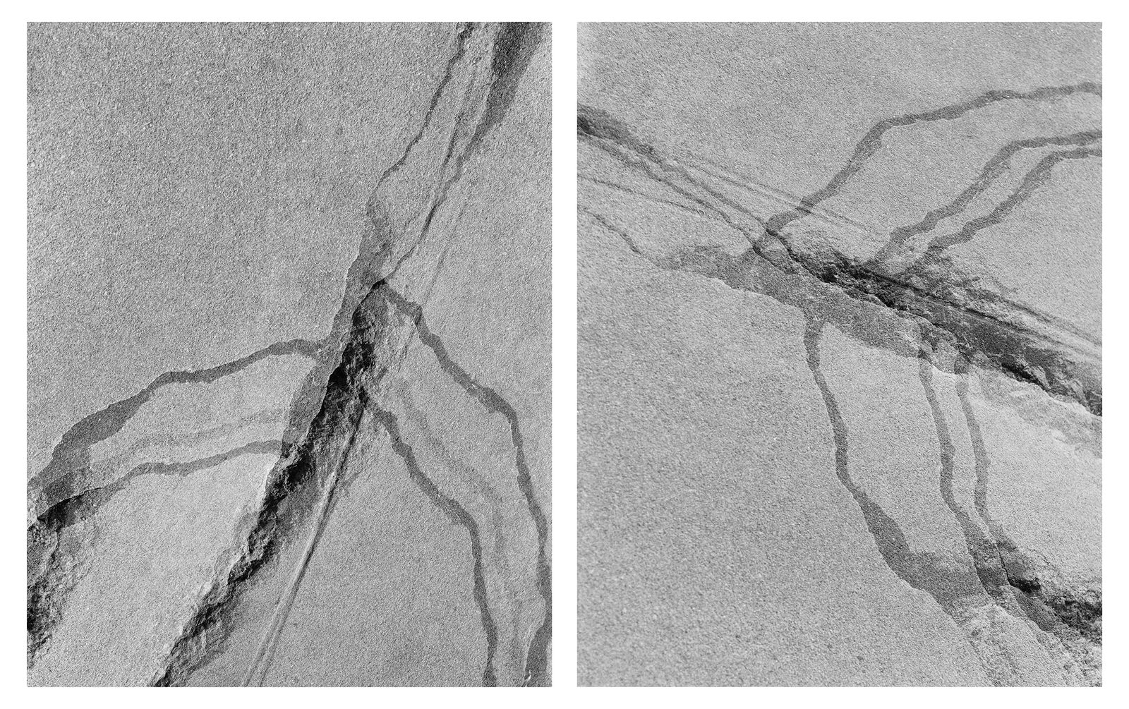 © Dannielle Bowman - "Untitled Diptych (Crack)" 2019 20in x 50in