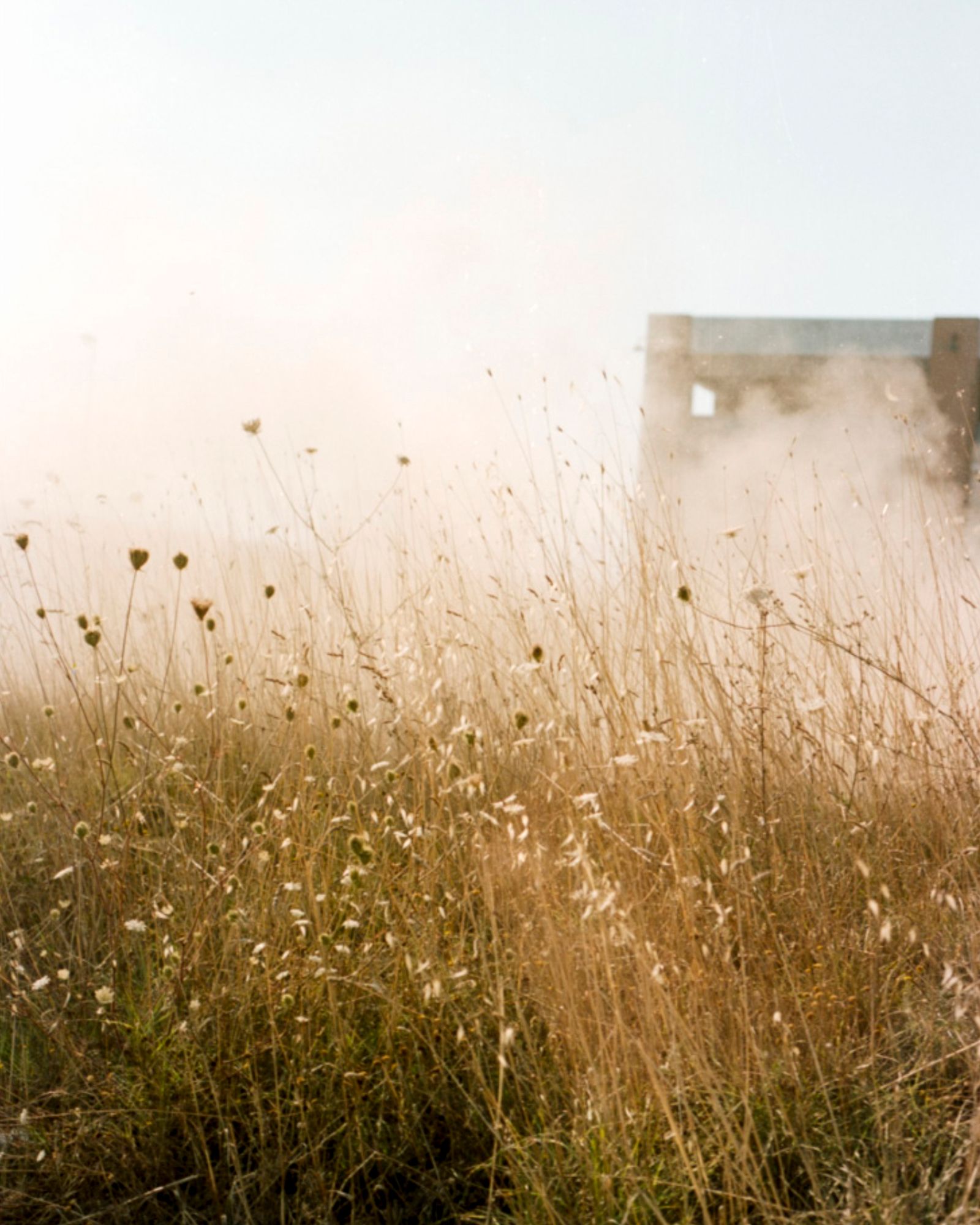 © Riccardo Svelto - Image from the La Cattedrale photography project