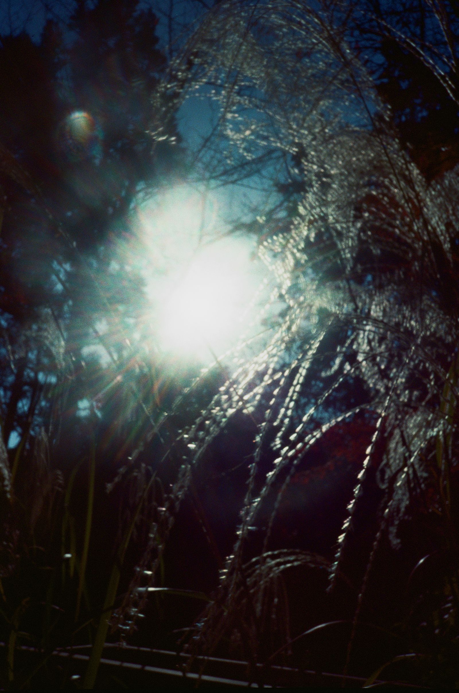 © Dea Ardyanda - Image from the Can You Tickle The Sun's Rays? photography project