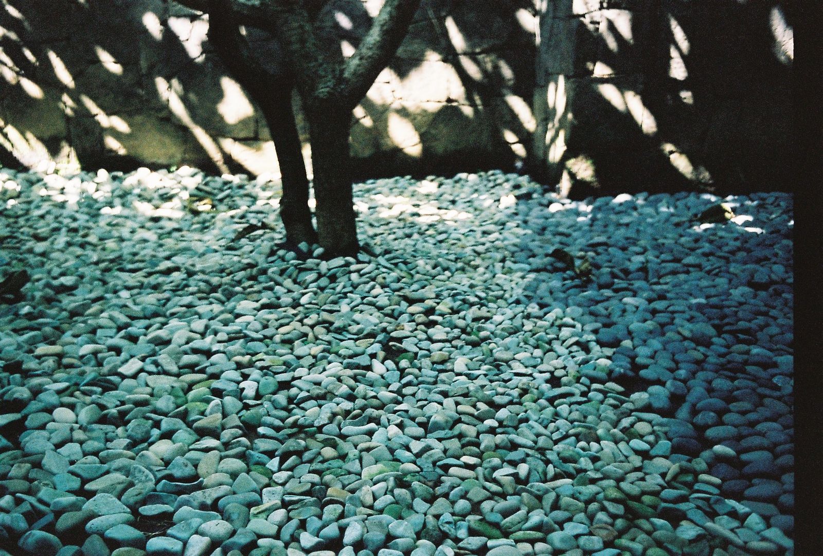 © Dea Ardyanda - Image from the Can You Tickle The Sun's Rays? photography project