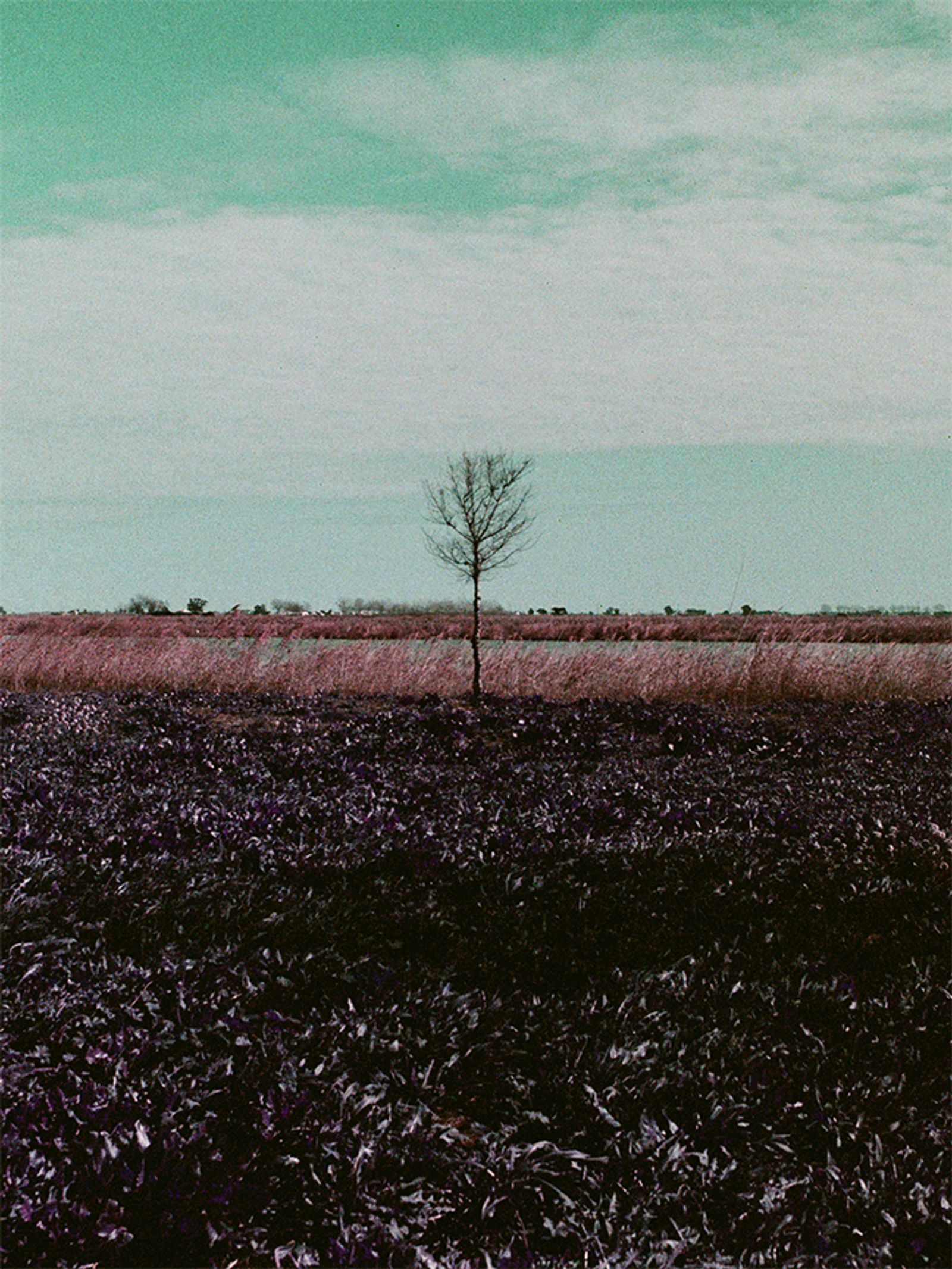 © Sara Ruiz Alcaraz - Image from the Siempreviva photography project