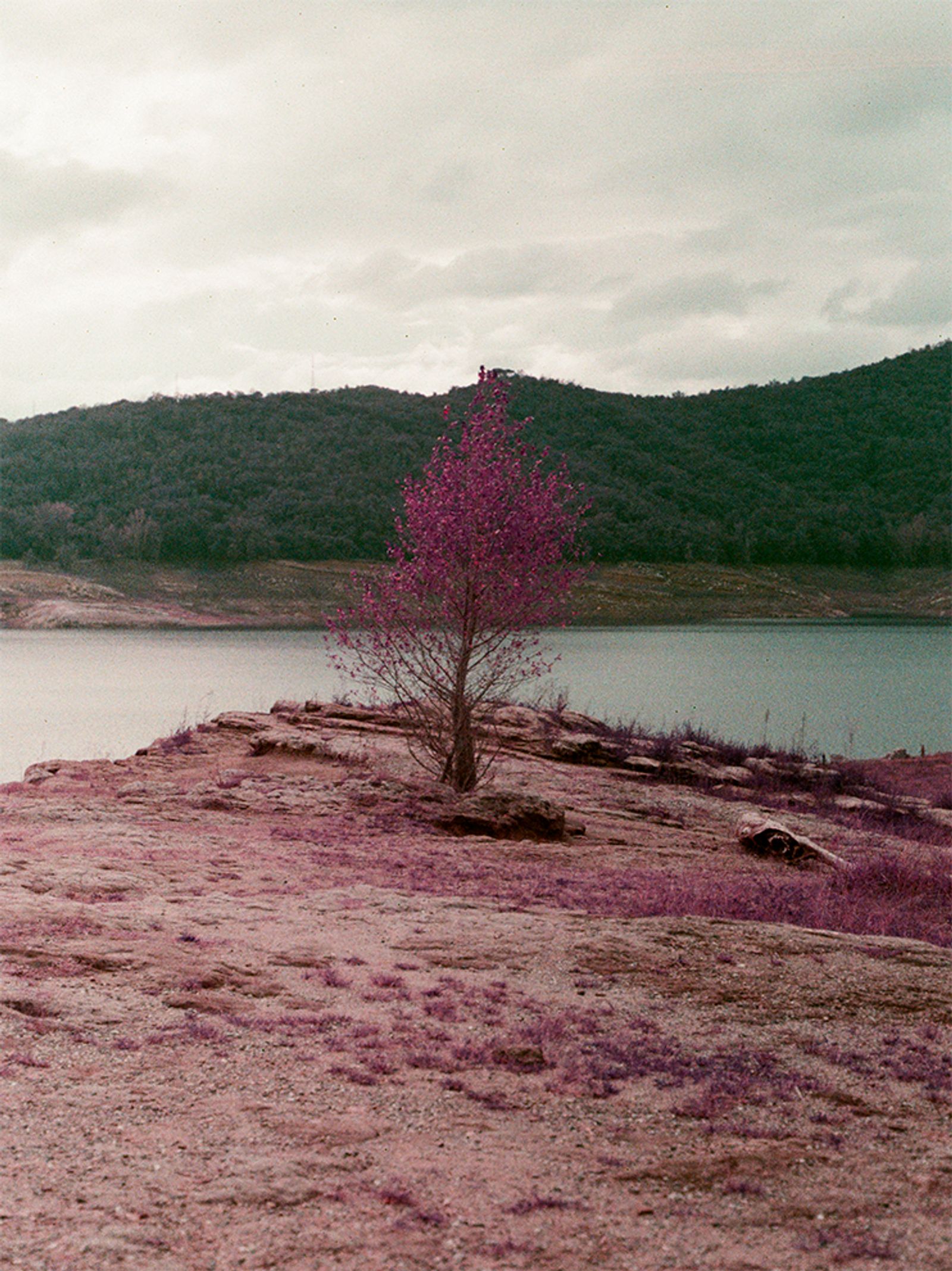 © Sara Ruiz Alcaraz - Image from the Siempreviva photography project