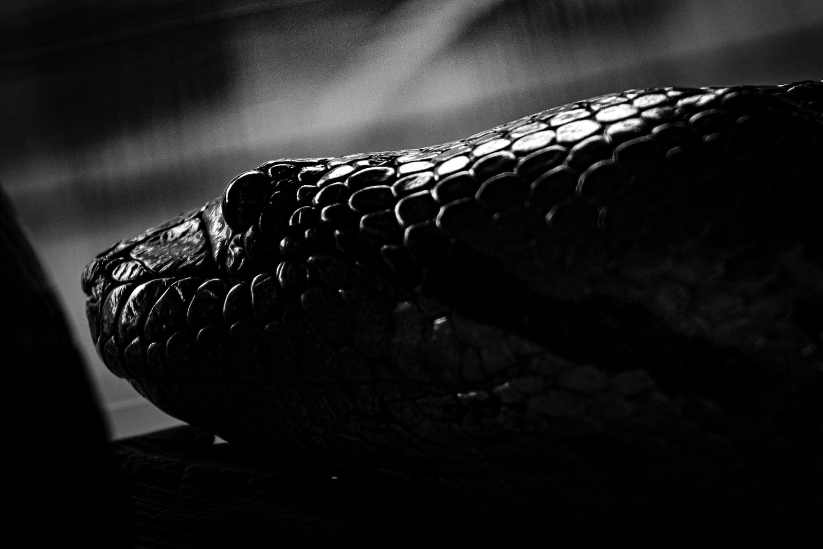 © Luis Barzola - Image from the IKAM photography project