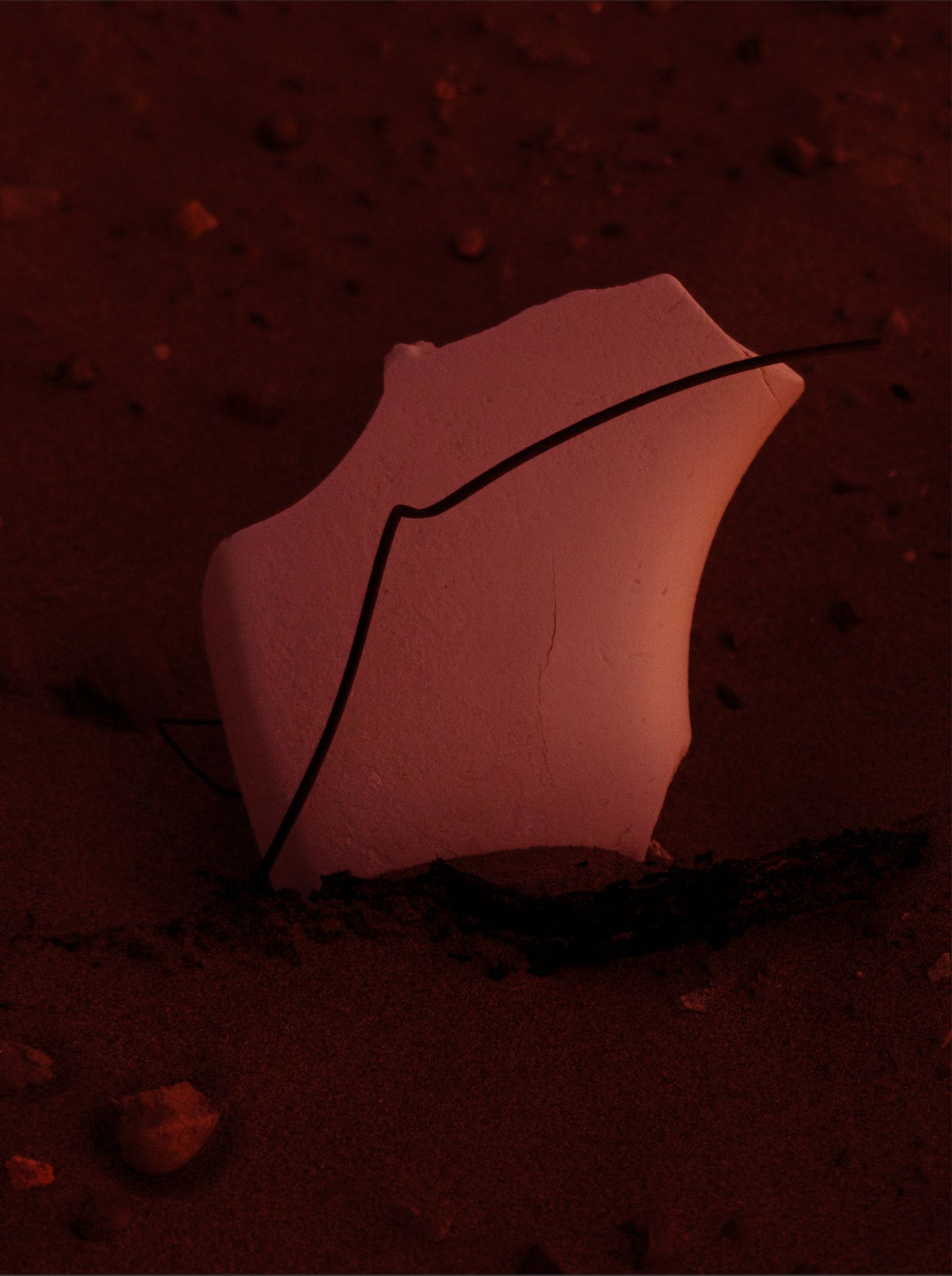 © Chaong-Wen Ting - Infected dreams-Polystyrene