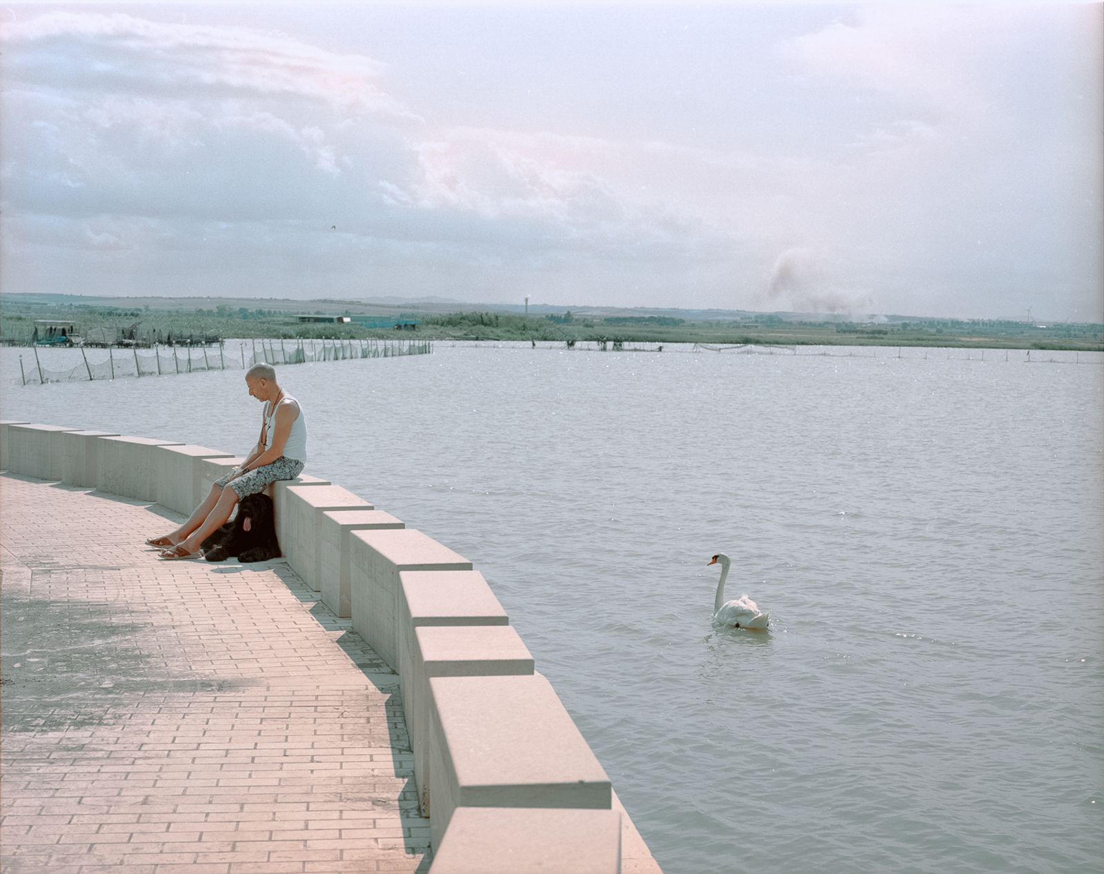 © Francesco Conti - Lesina lake, Lesina 2023. 120 negative film