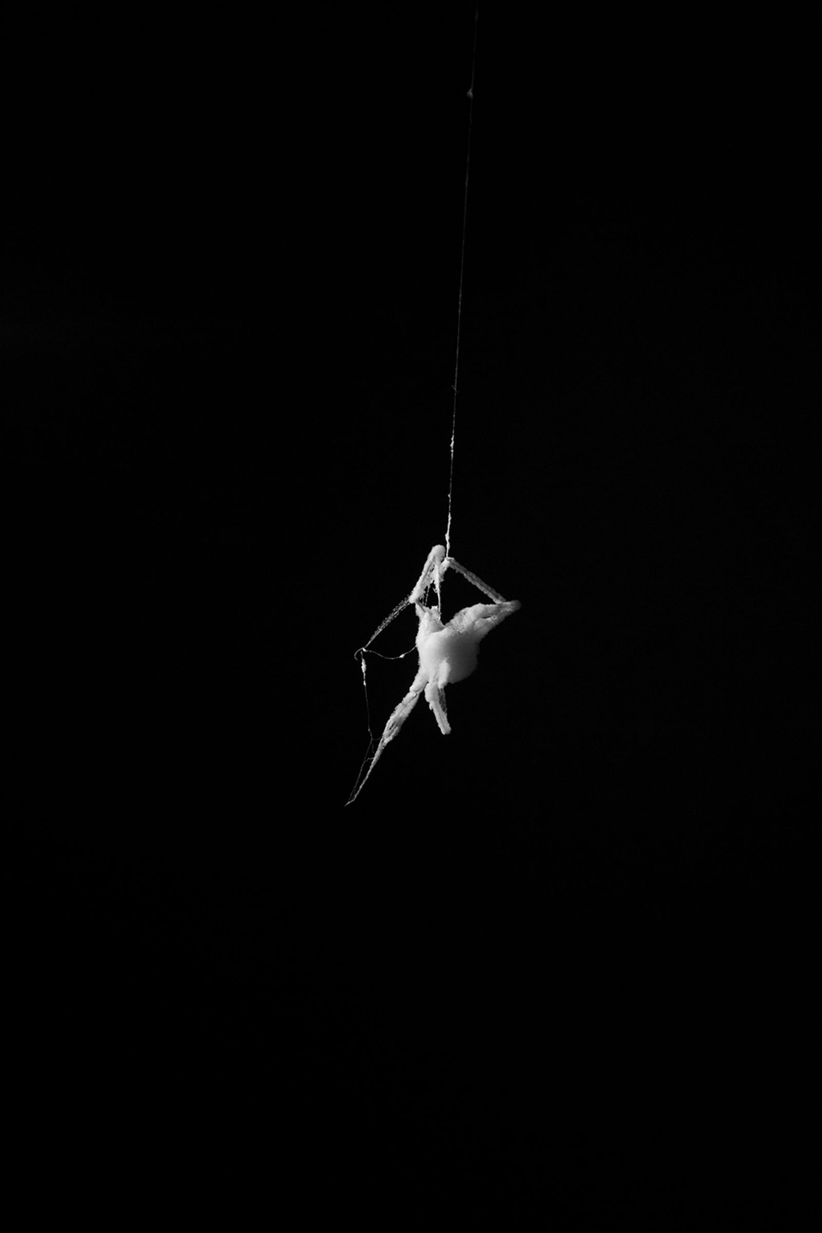 © Priscilla Pallante - Evidence K.