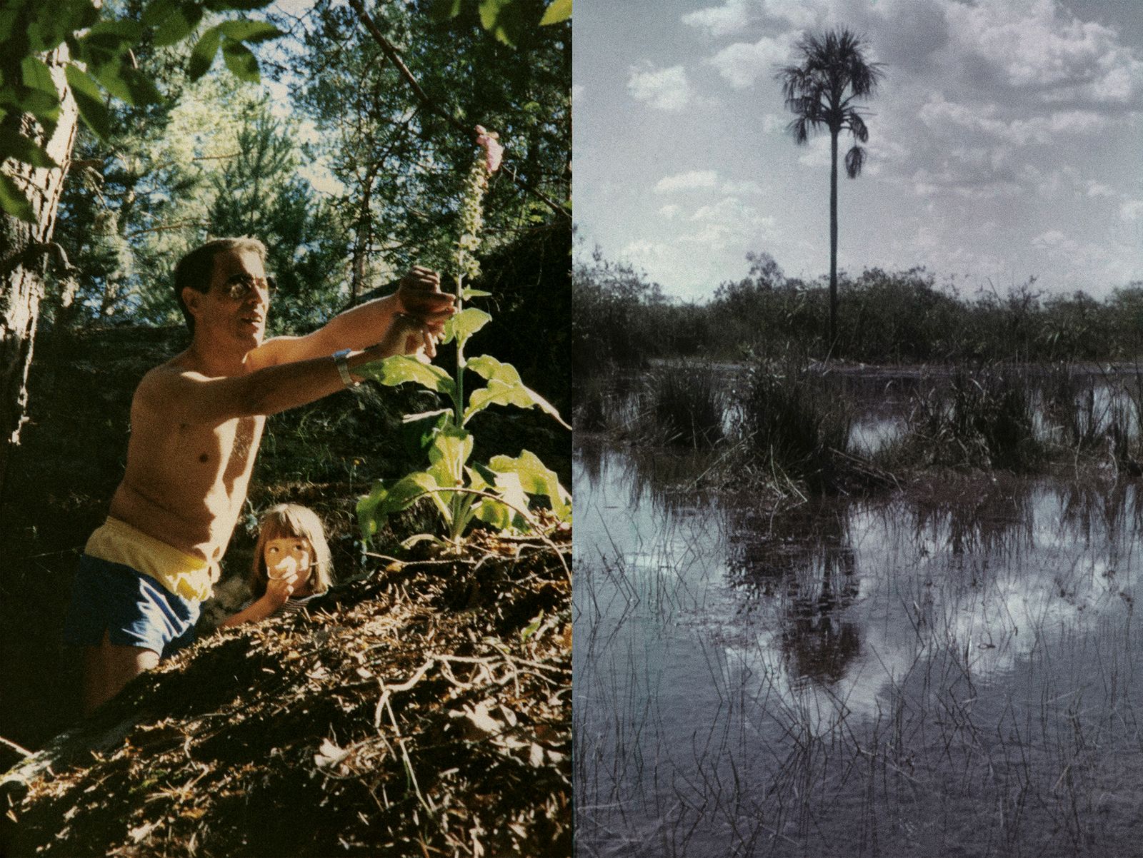 © Raquel Bravo - Image from the Mato Grosso photography project
