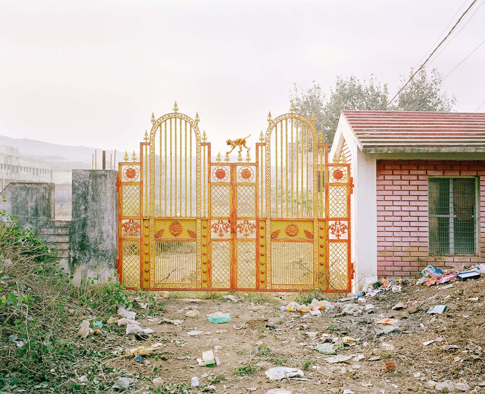 © Vasantha Yogananthan - Hanuman, Chitrakoot, Uttar Pradesh, India, 2013