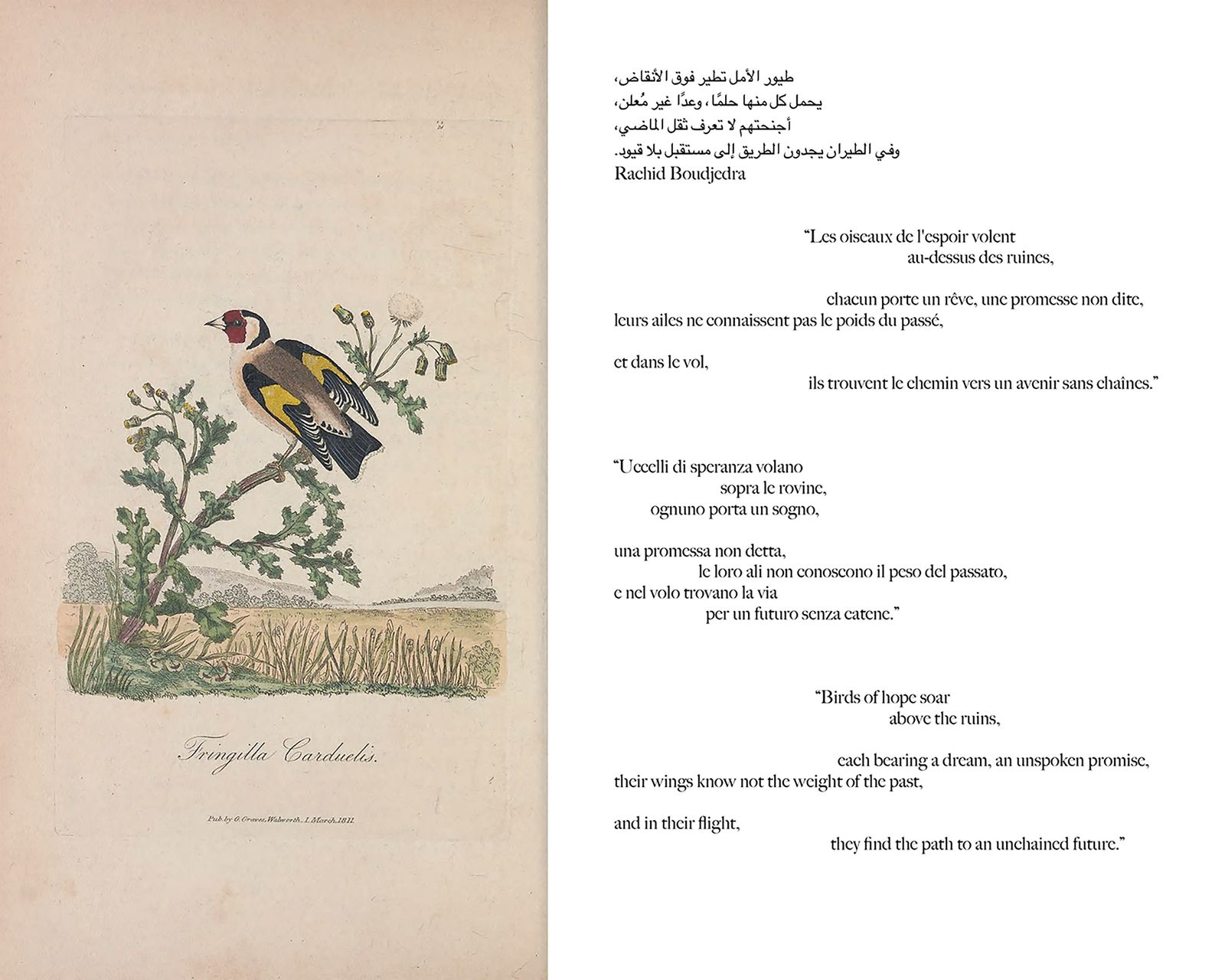 © Gabriela de Giacomo - Image from the Taghrida, the birds singing photography project