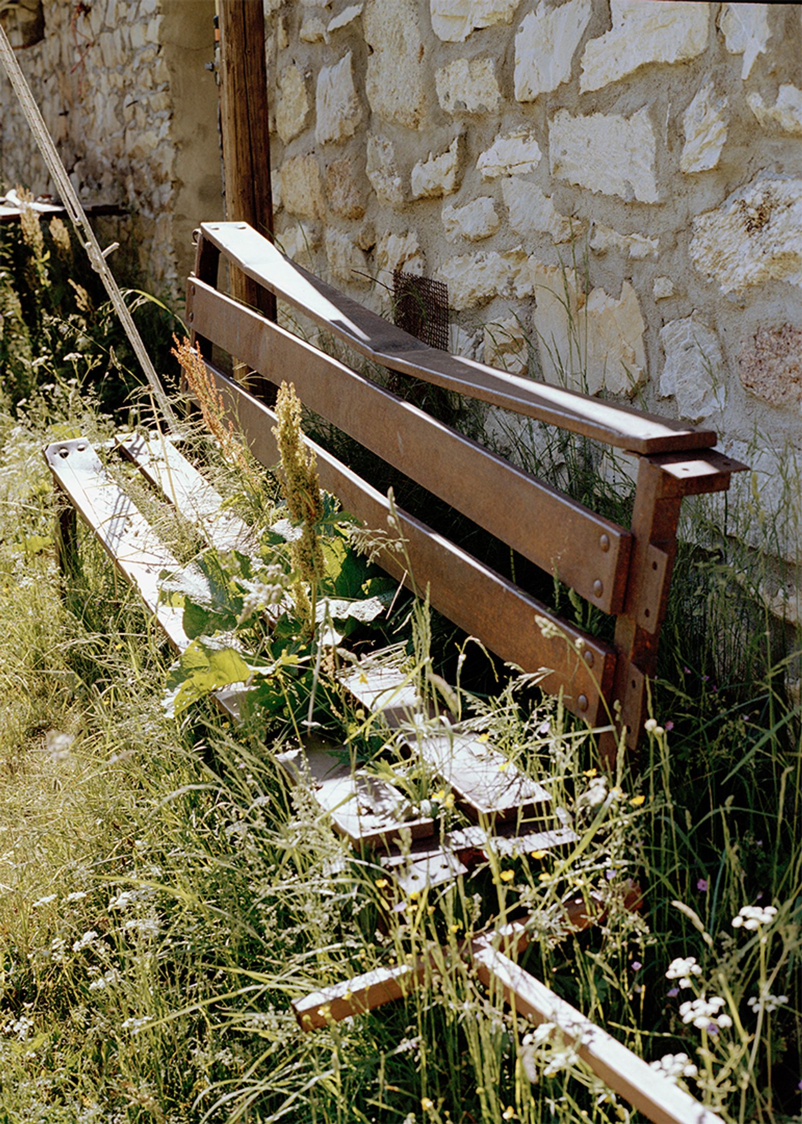 © Gabriela de Giacomo - Image from the Trai fiour pour Sablinna. Three flowers for Elisabetta. photography project