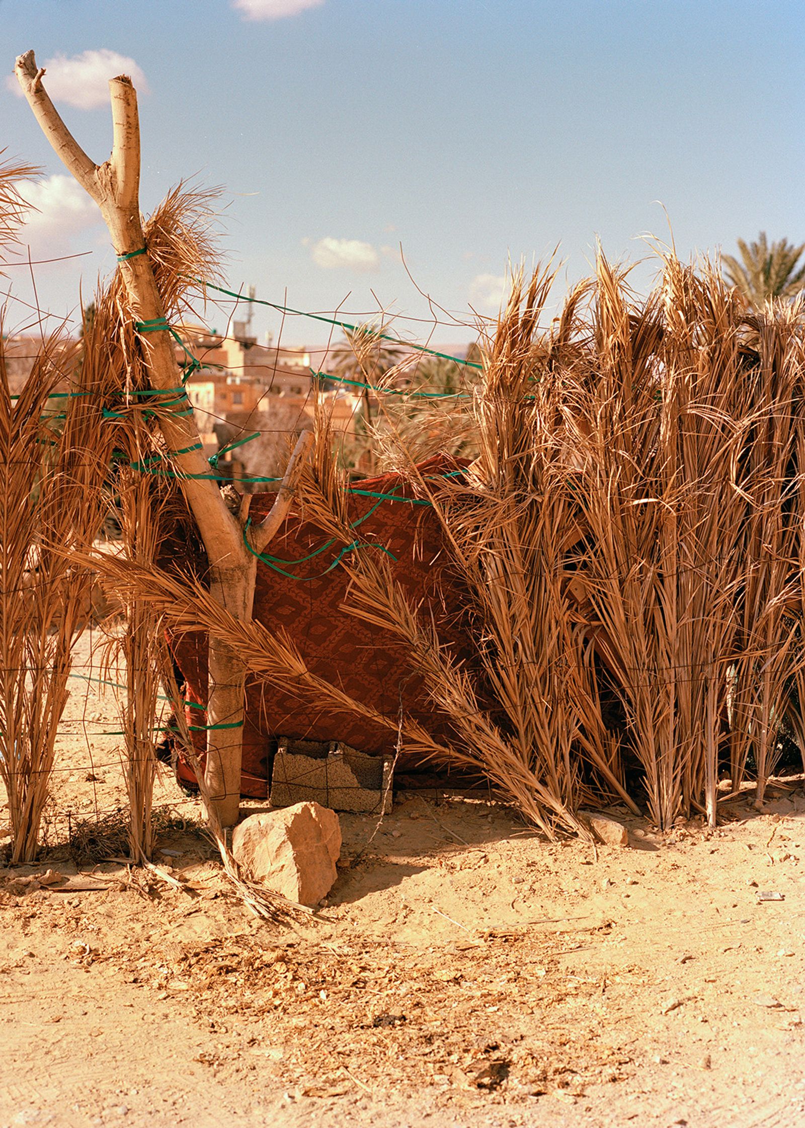 © Gabriela de Giacomo - Image from the Taghrida, the birds singing photography project
