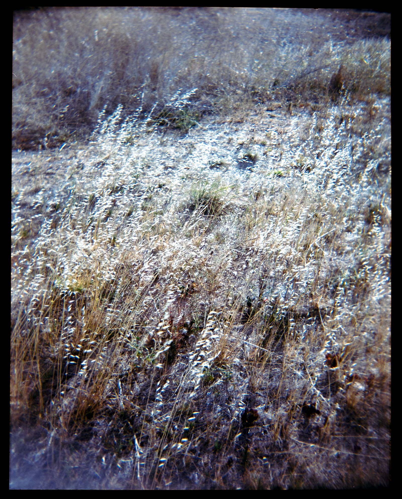 © Catalina Juger Cerda - Image from the Primera Identidad (First Identity) photography project