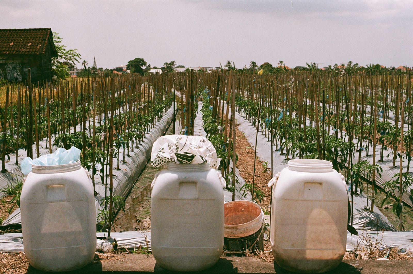 © Paola De Gregorio - Image from the Plastic Reimagined. Art, Waste, and the Struggle for Balance in Indonesia photography project