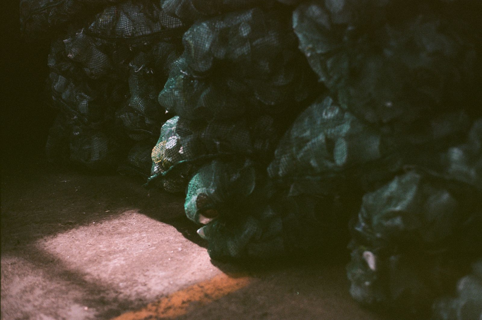 © Paola De Gregorio - Image from the Plastic Reimagined. Art, Waste, and the Struggle for Balance in Indonesia photography project