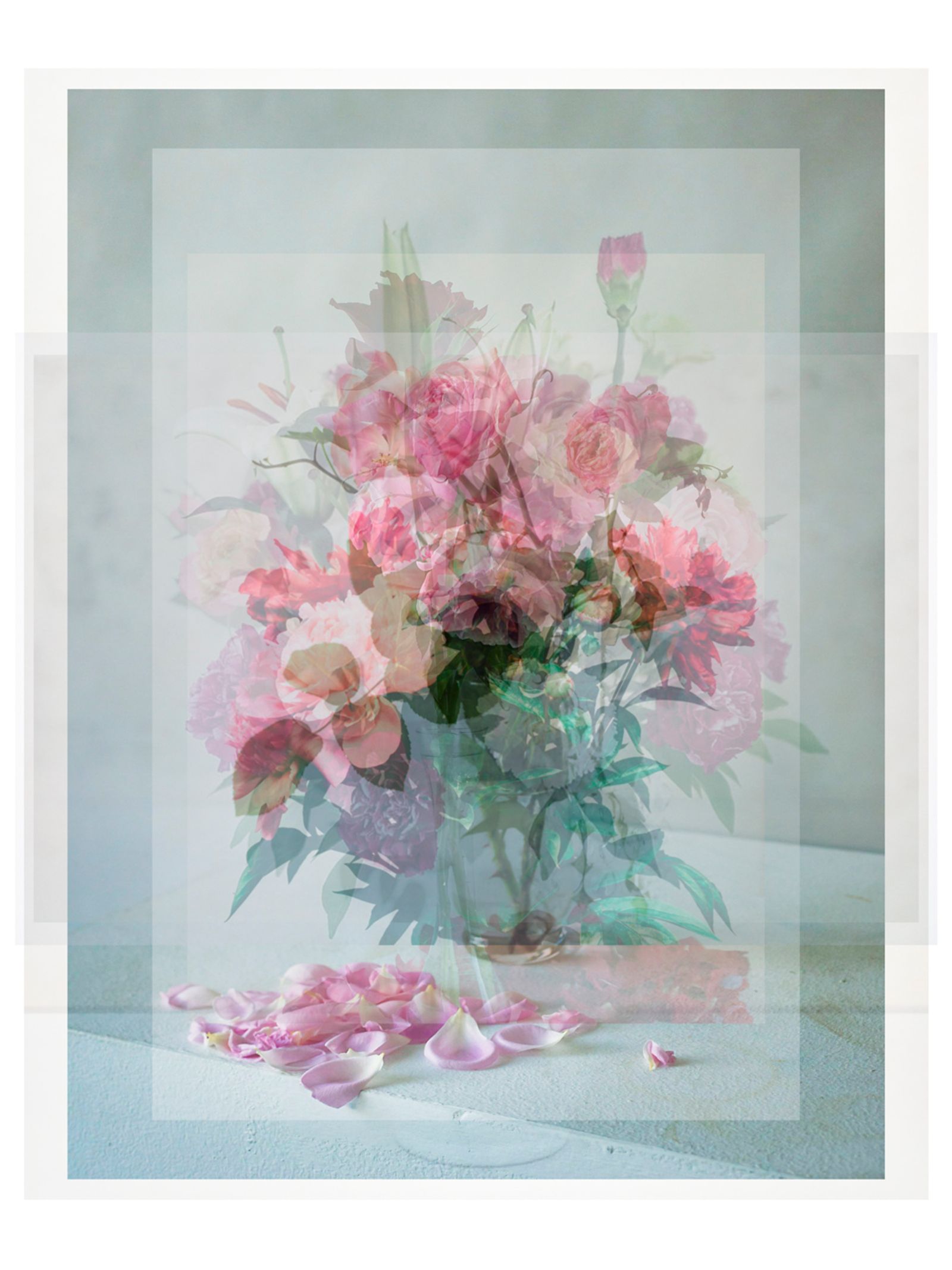 © Pascual + Vincent - GARDEN ROSES