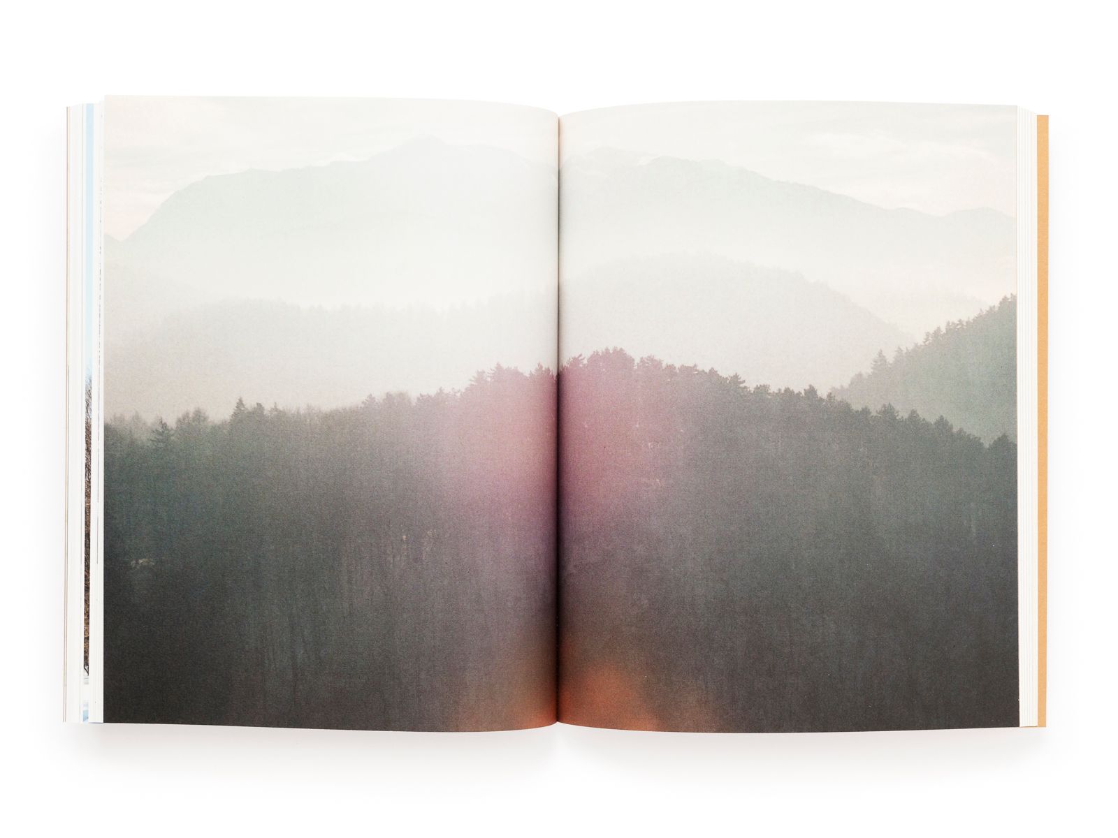 © Pascual + Vincent - Image from the THE TREE OF LIFE IS ETERNALLY GREEN photography project