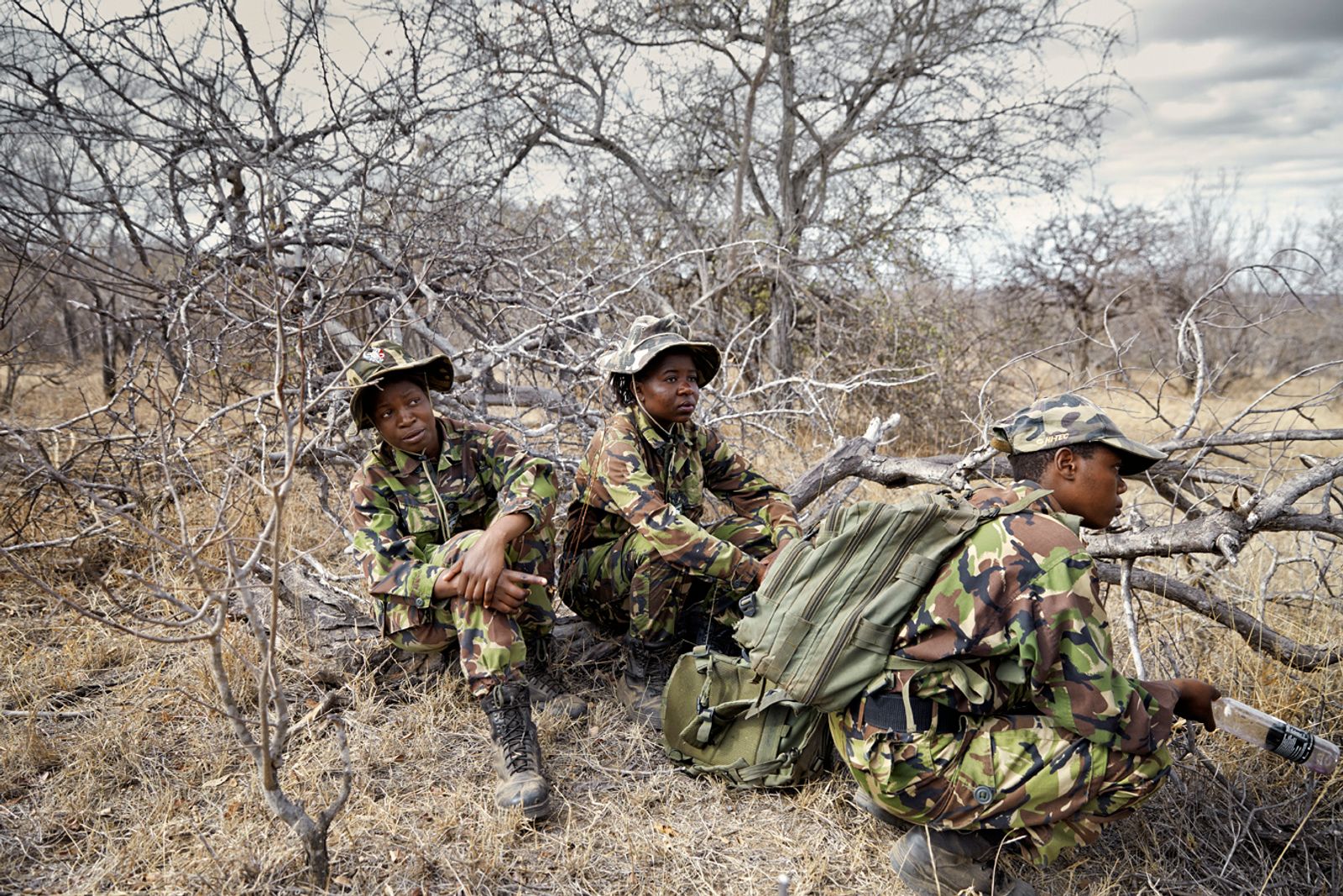 © Julia Gunther - 3 Black Mambas waiting, Balule Nature Reserve, South Africa, 2015