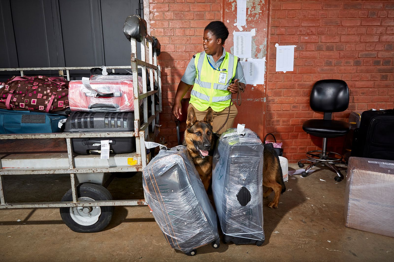 © Julia Gunther - Image from the Sniffing Out Wildlife Crime With Malawi's First Detection Dog Unit photography project