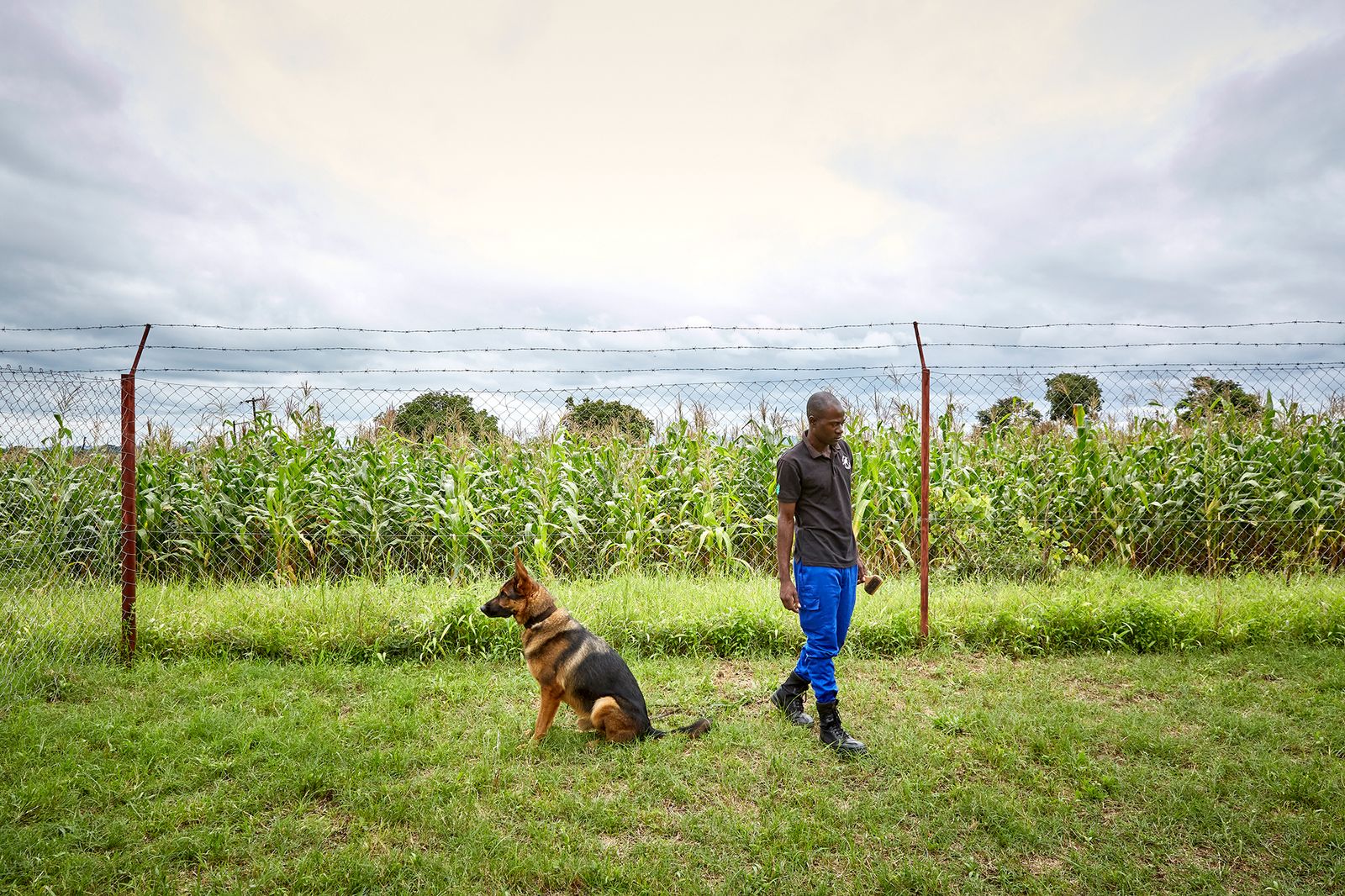 © Julia Gunther - Image from the Sniffing Out Wildlife Crime With Malawi's First Detection Dog Unit photography project