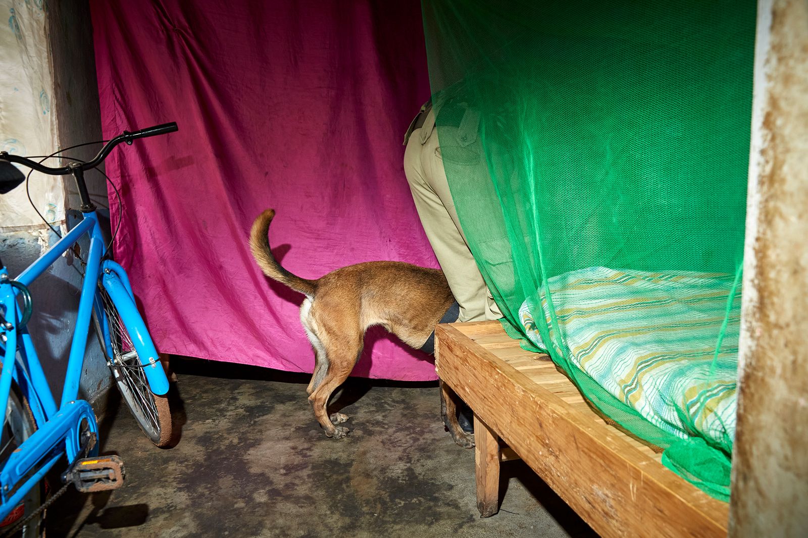 © Julia Gunther - Image from the Sniffing Out Wildlife Crime With Malawi's First Detection Dog Unit photography project