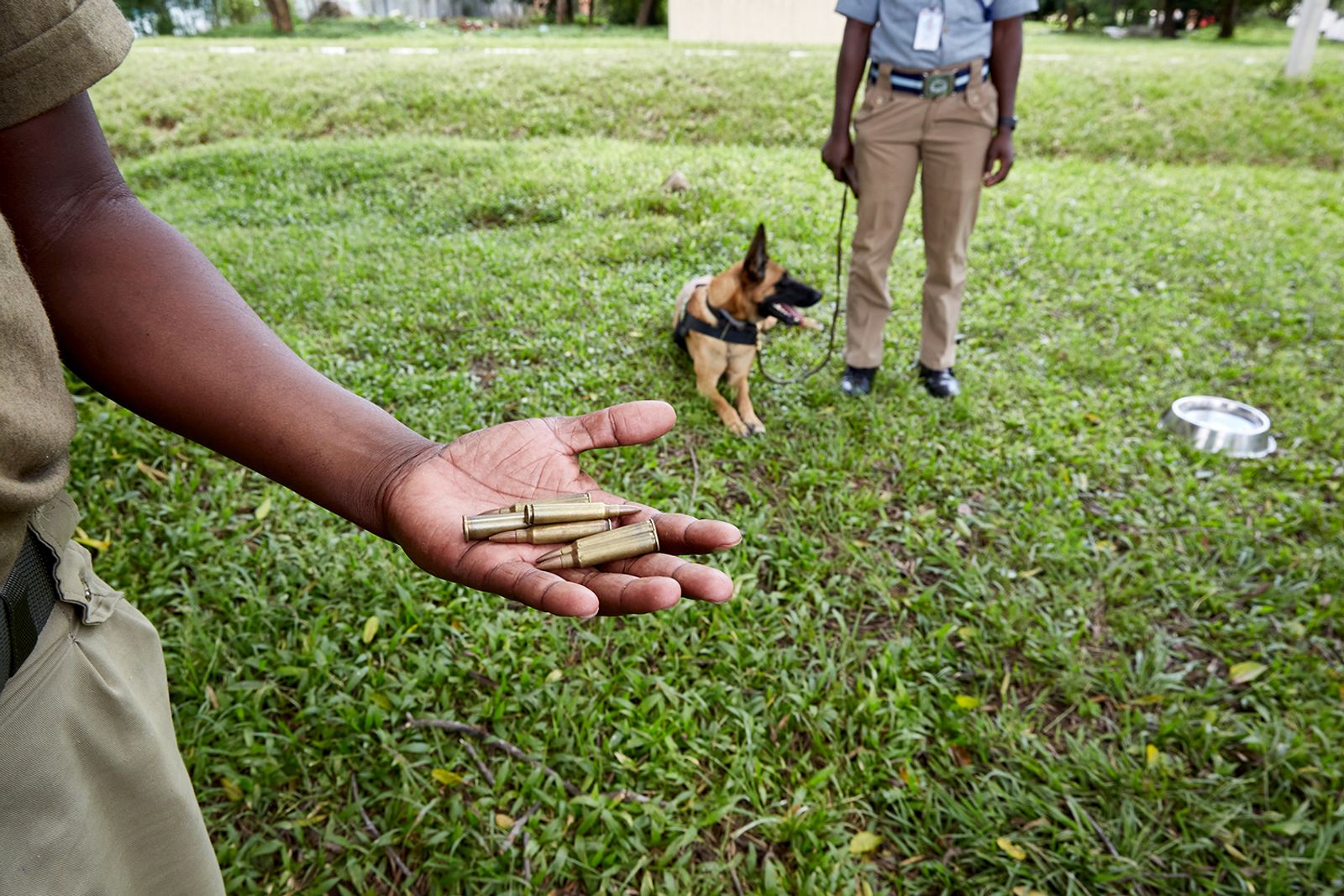 © Julia Gunther - Image from the Sniffing Out Wildlife Crime With Malawi's First Detection Dog Unit photography project